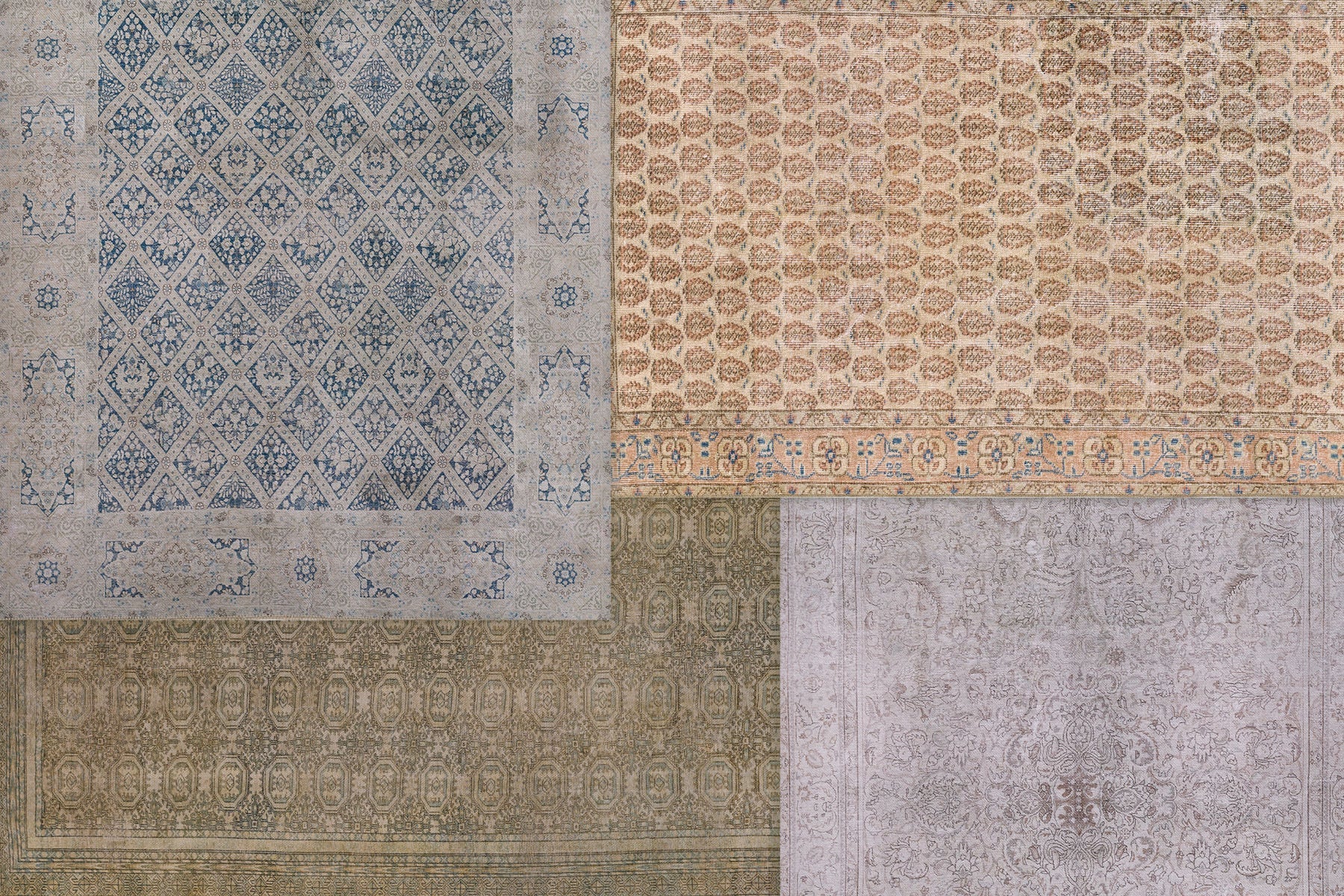 Dorset Collection, a stunning array of rugs that pays homage to Erin Gates' cherished vintage finds. Each piece in this collection emanates inviting warmth and distinct character, reflecting a rich tapestry of traditional designs.