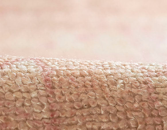 Momeni Luna Collection is printed on durable PET fibers and features classic Anatolian designs in soft neutral colors.