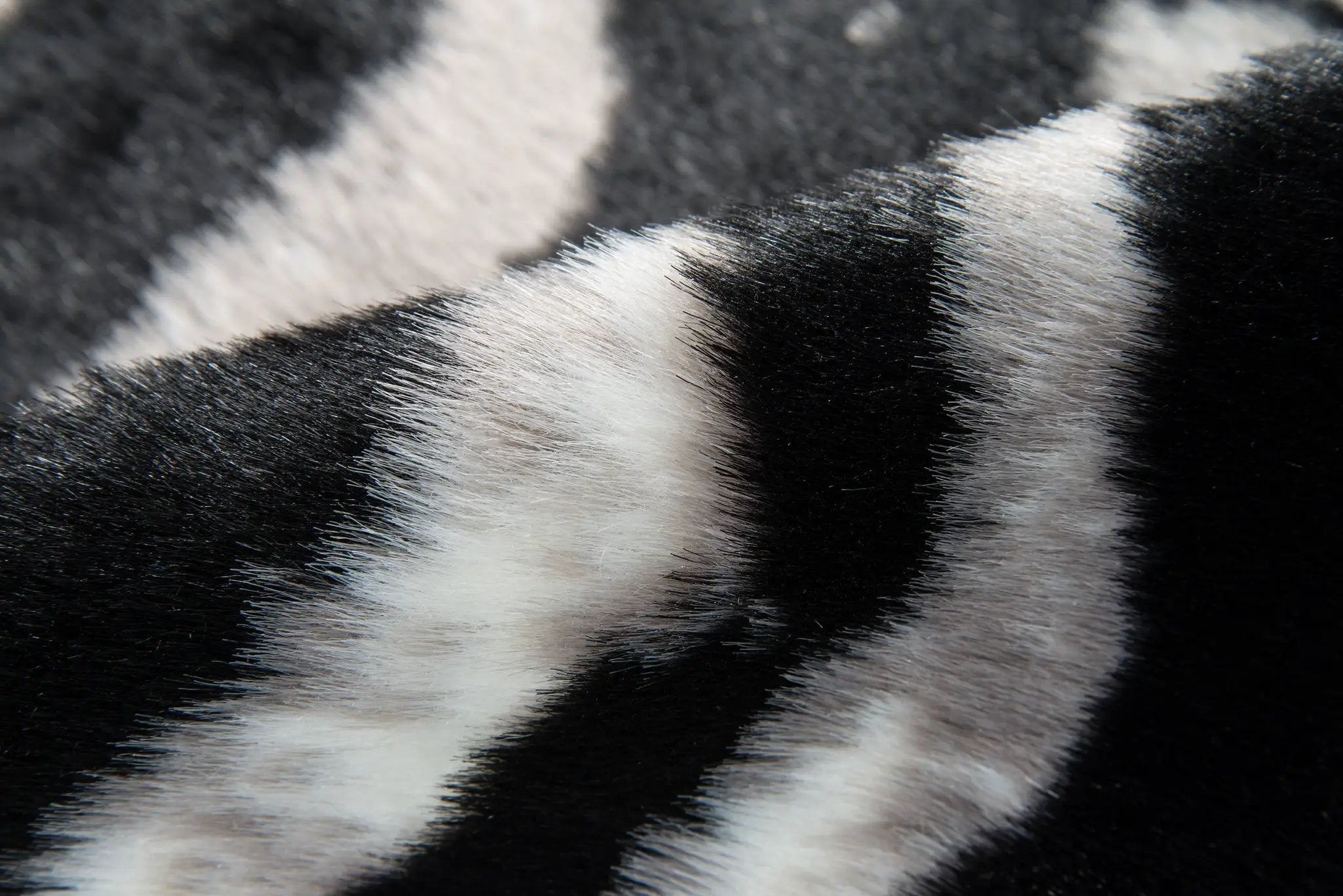 Acadia ACA-1 (Zebra) Black Area Rug by Erin Gates by Momeni