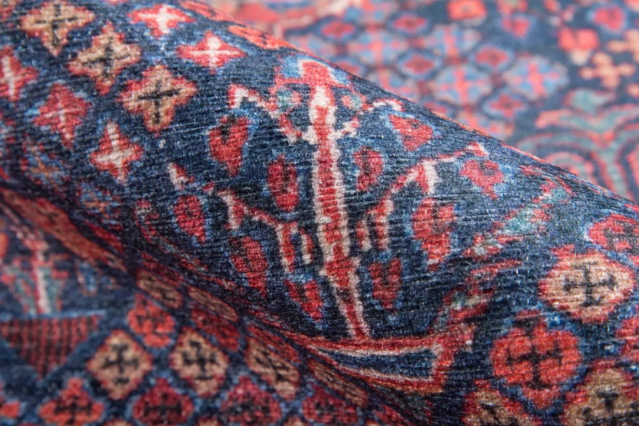 Afshar AFS10 Navy Area Rug by Momeni