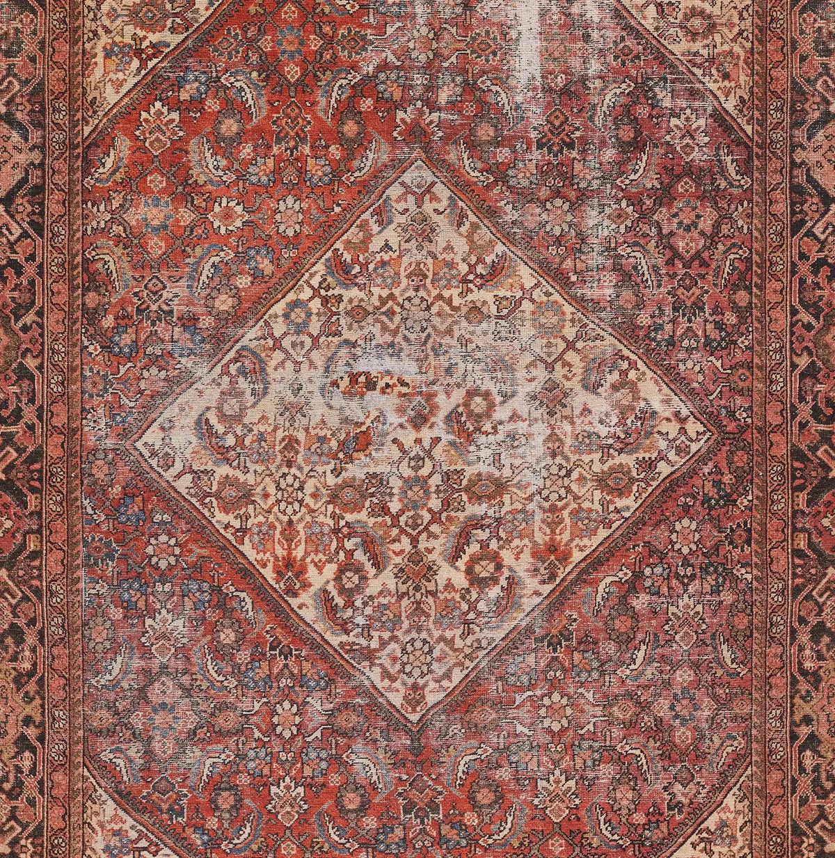 Afshar AFS44 Red Area Rug by Momeni