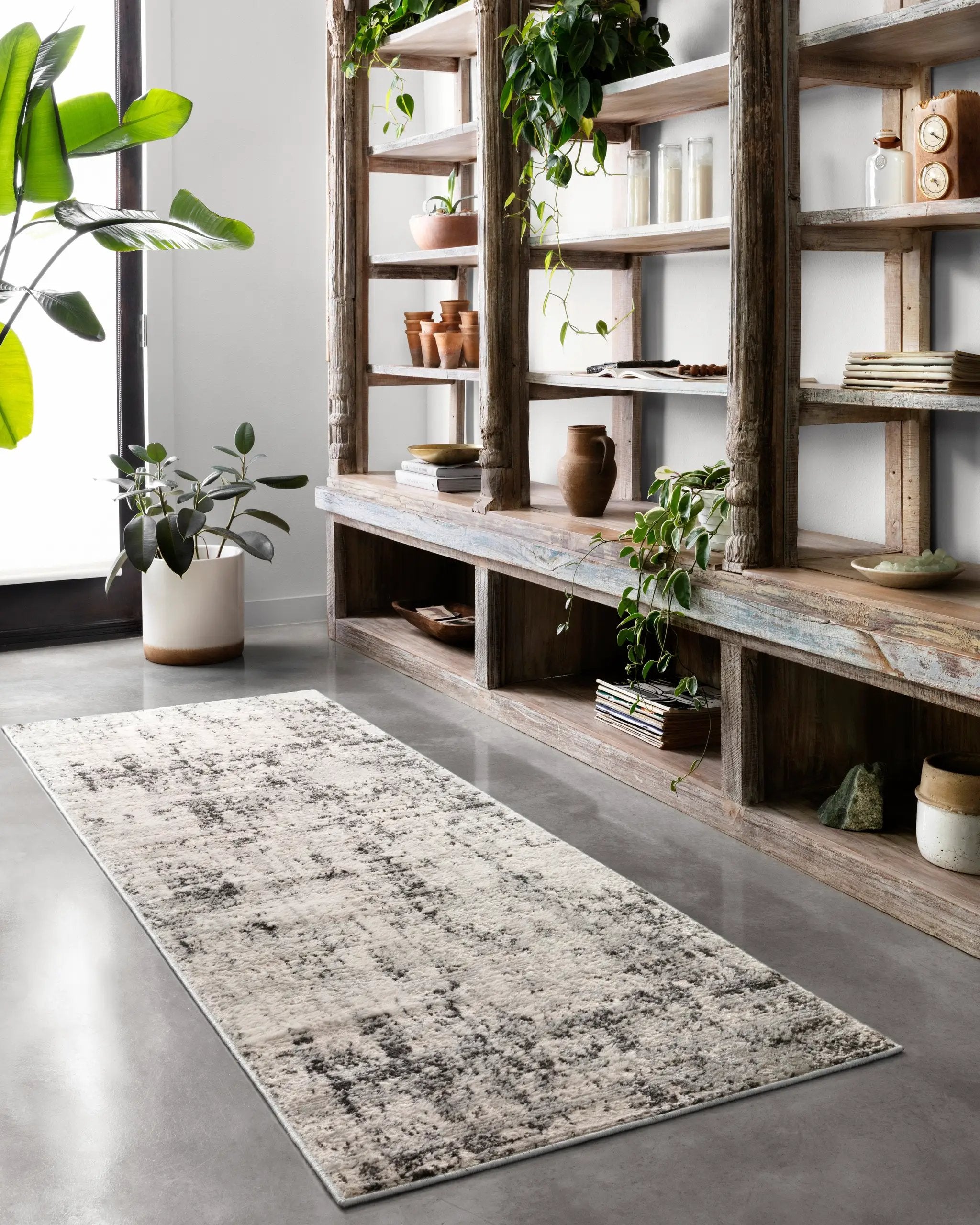 Alchemy ALC-04 Silver / Graphite Area Rug by Loloi