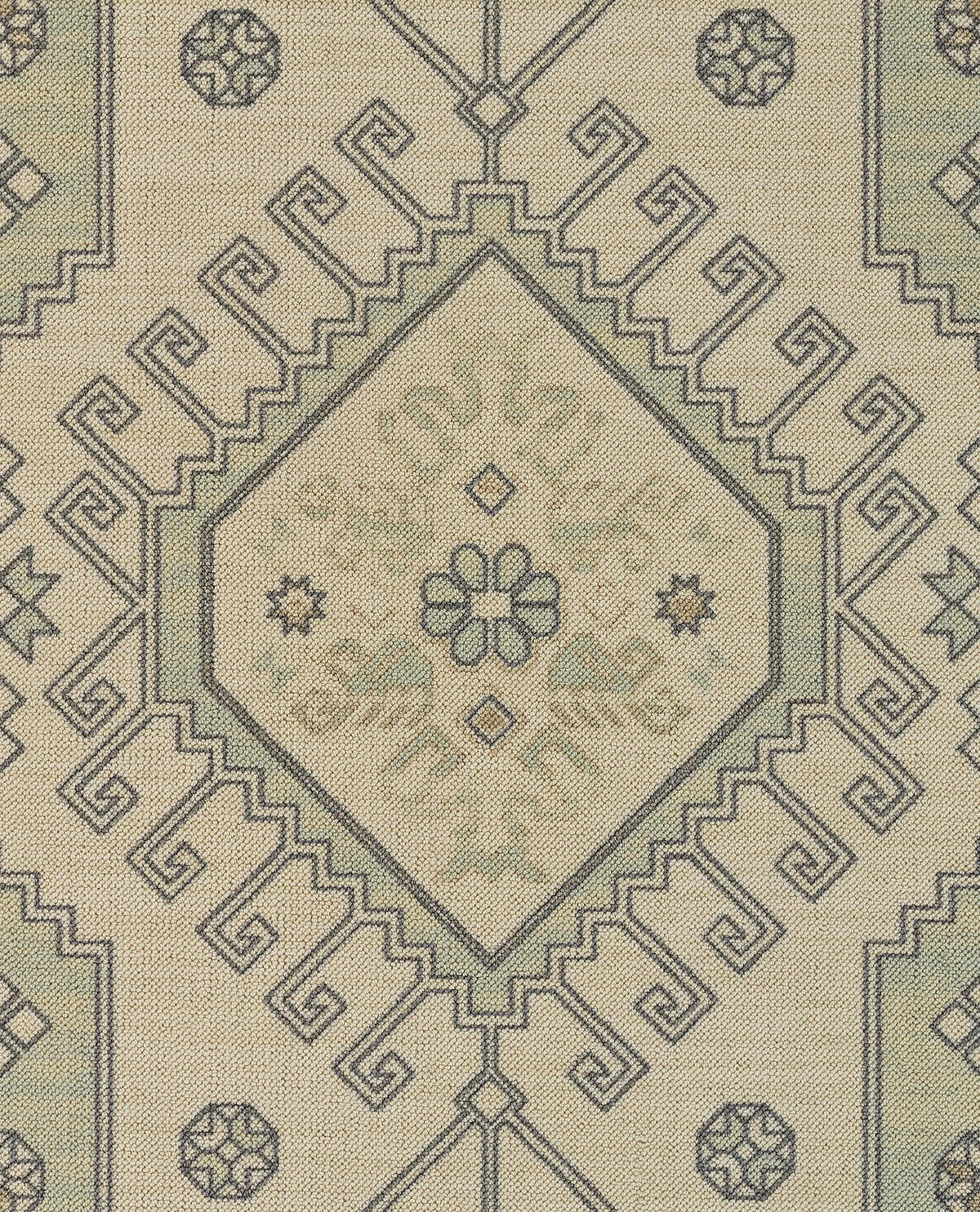 Anatolia ANA-11 Sage Area Rug by Momeni