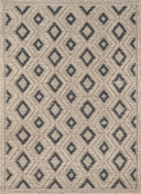 Momeni Andes AND-2 Beige Hand Woven Area Rug