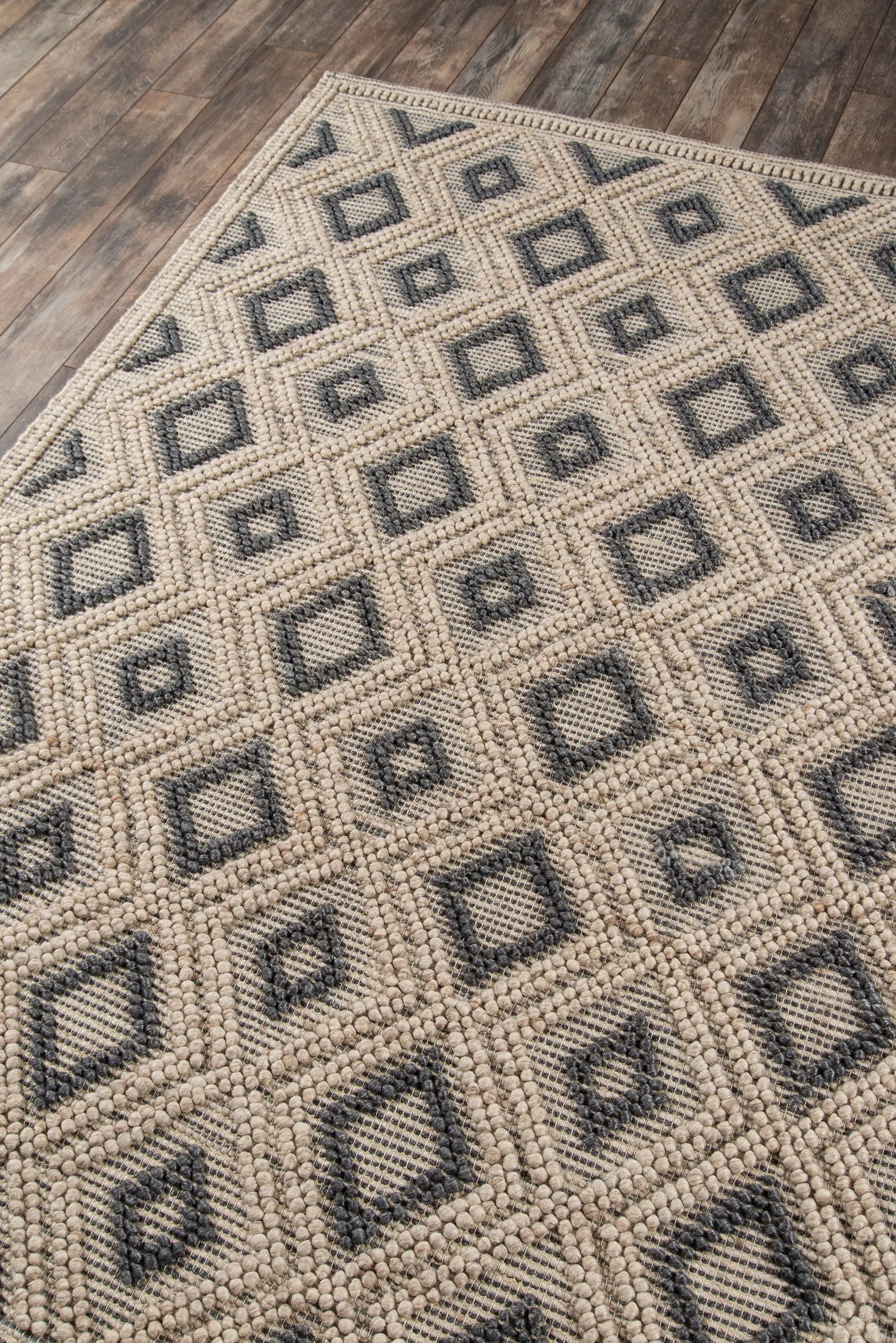 Andes AND-2 Beige Area Rug by Momeni