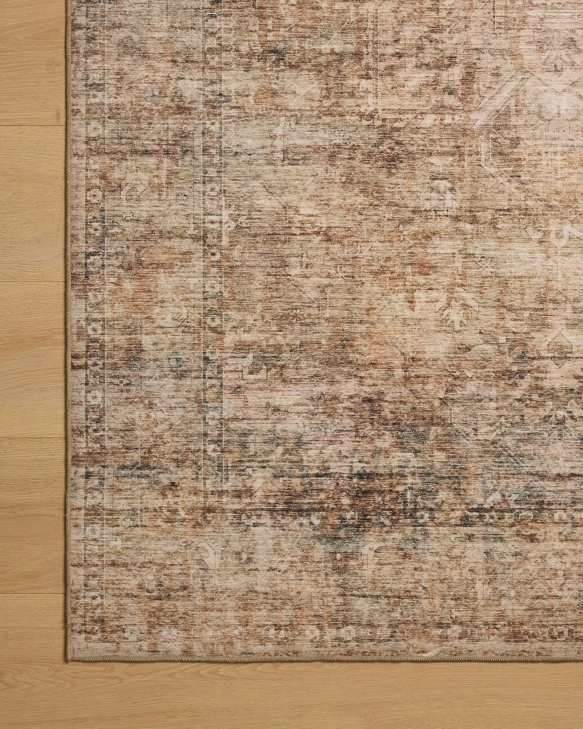 Anniston ANS-06 Clay / Charcoal Area Rug by Loloi