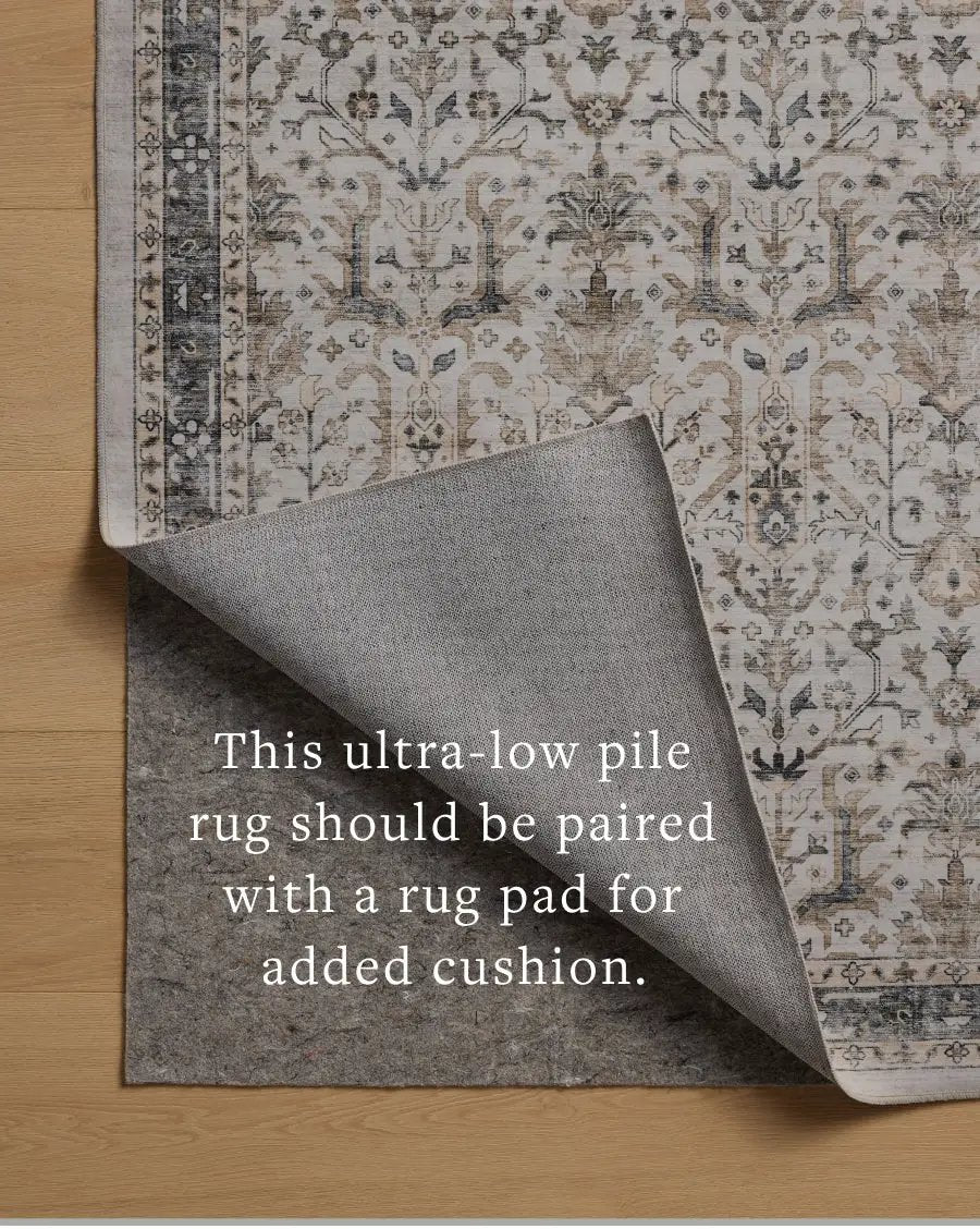 Anniston ANS-01 Ivory / Stone Area Rug by Loloi