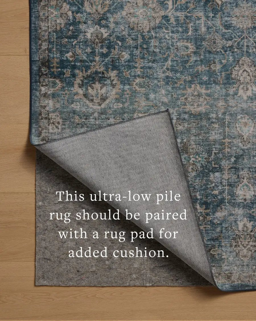 Anniston ANS-02 Lagoon / Natural Area Rug by Loloi