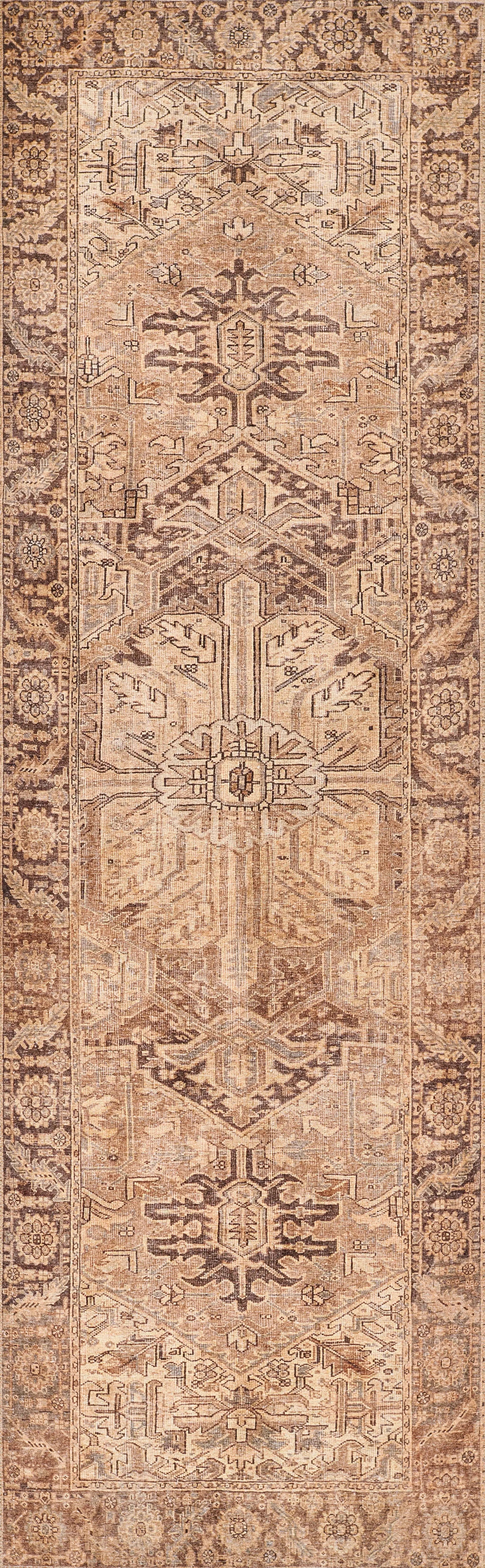 Ariana ARI-3 Brown Area Rug by Momeni