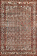 Momeni Ariana ARI-9 Rust Area Rug