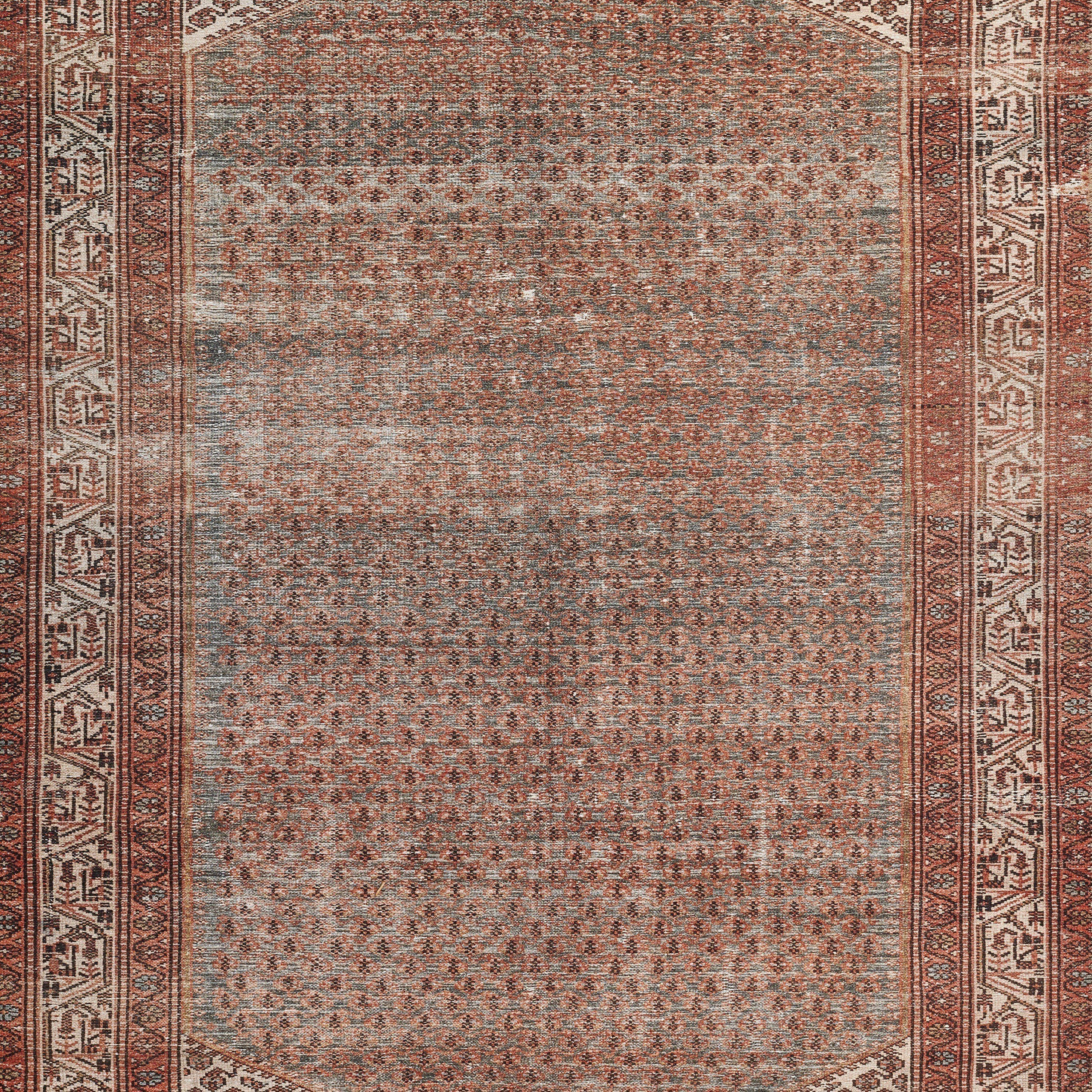 Momeni Ariana ARI-9 Rust Area Rug