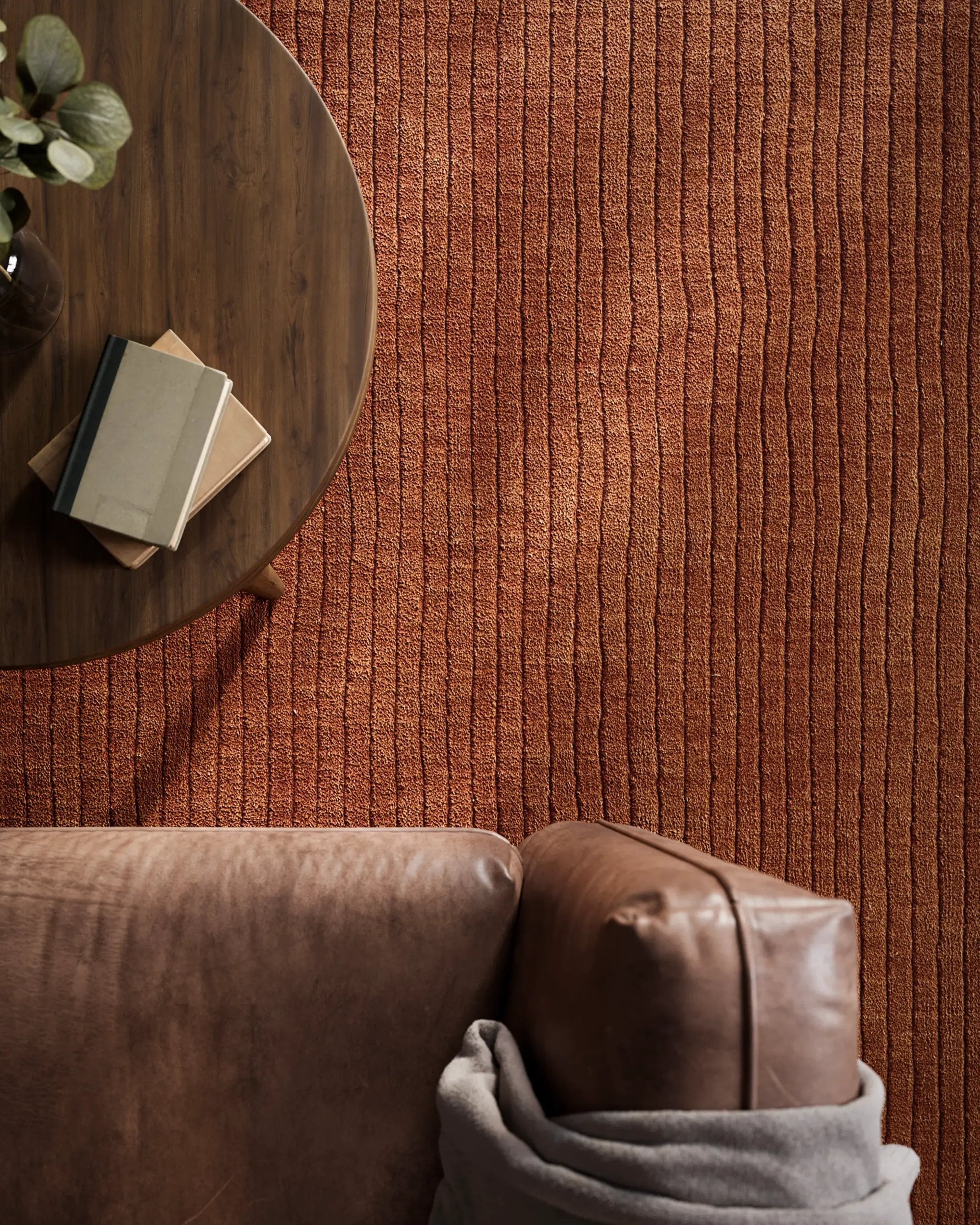 Asher ASH-1 Rust Area Rug by Momeni