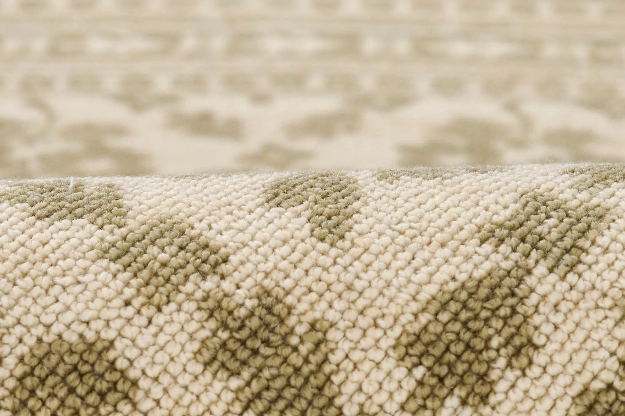 Bibury BIB-1 Green Area Rug by Momeni