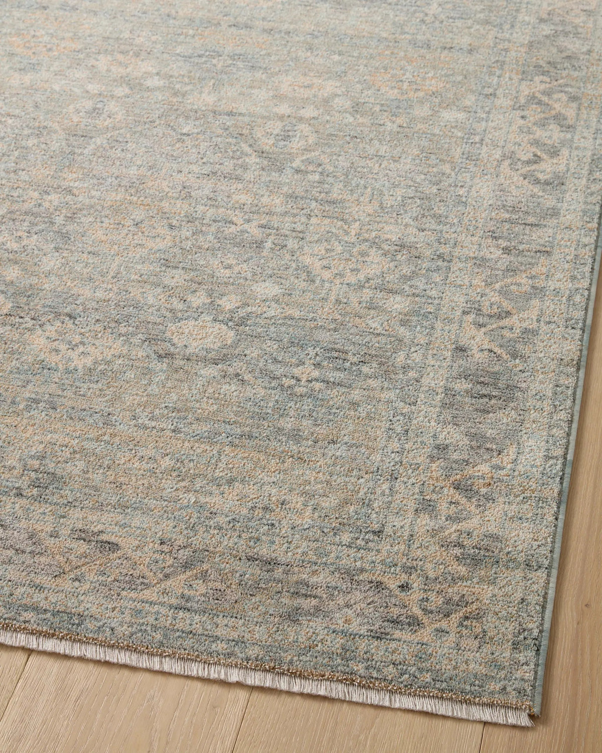 Blake BLA-01 Sky / Beige Area Rug by Angela Rose x Loloi