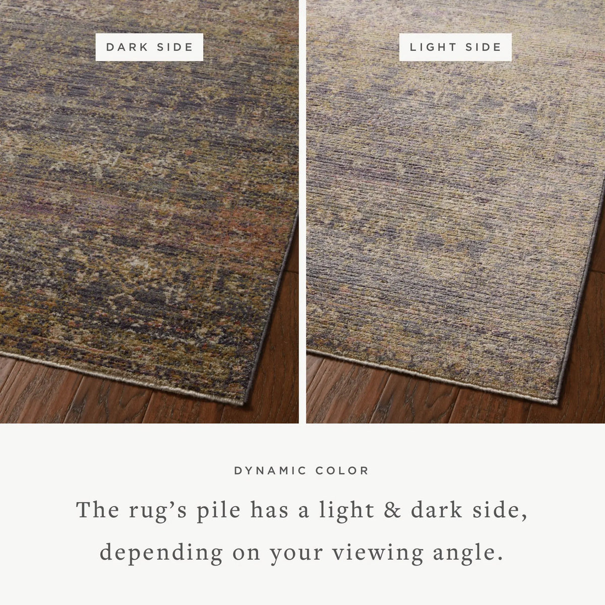 Bradbury BRU-05 Ink / Multi Area Rug by Jean Stoffer x Loloi