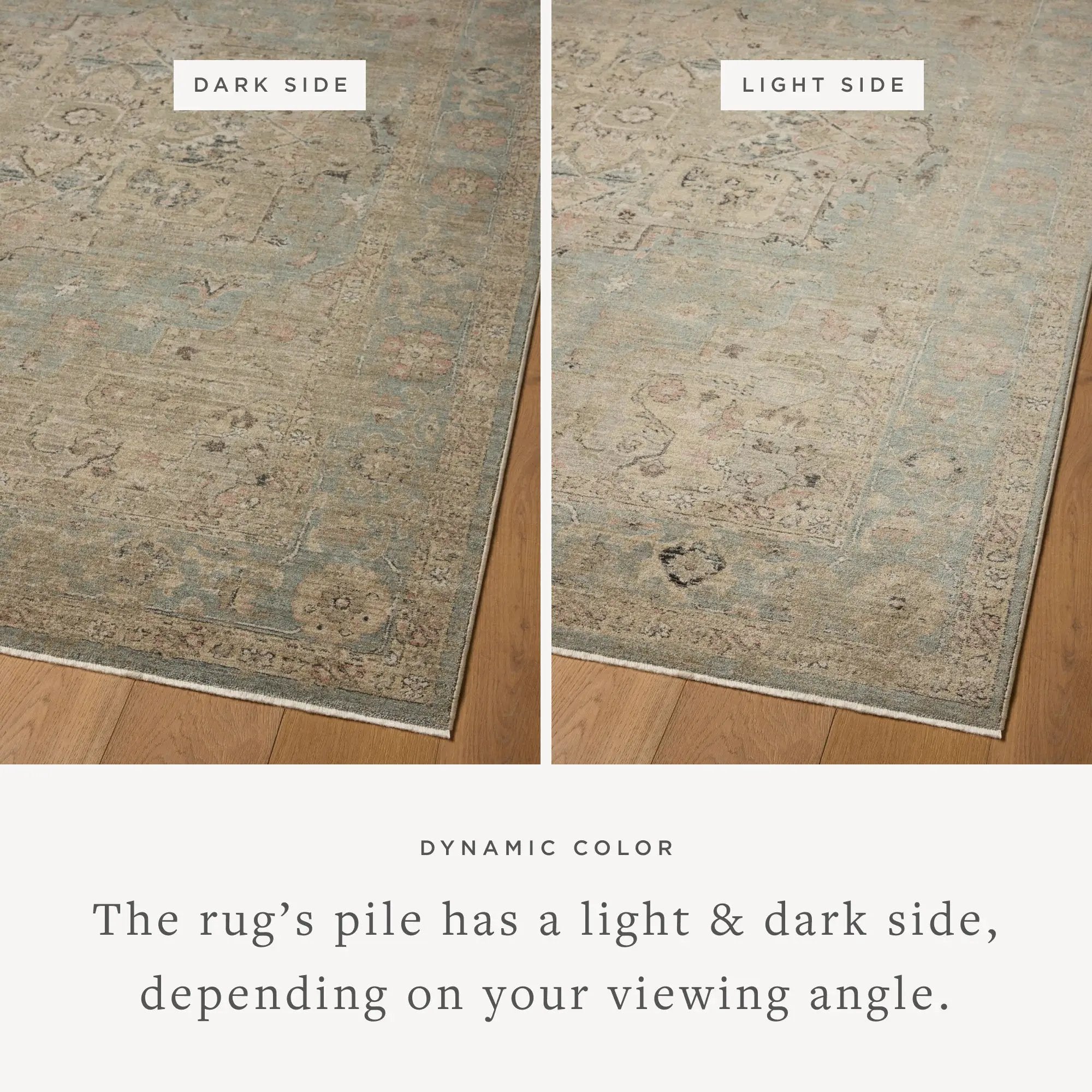 Briar BRR-01 Sky / Moss Area Rug by Loloi