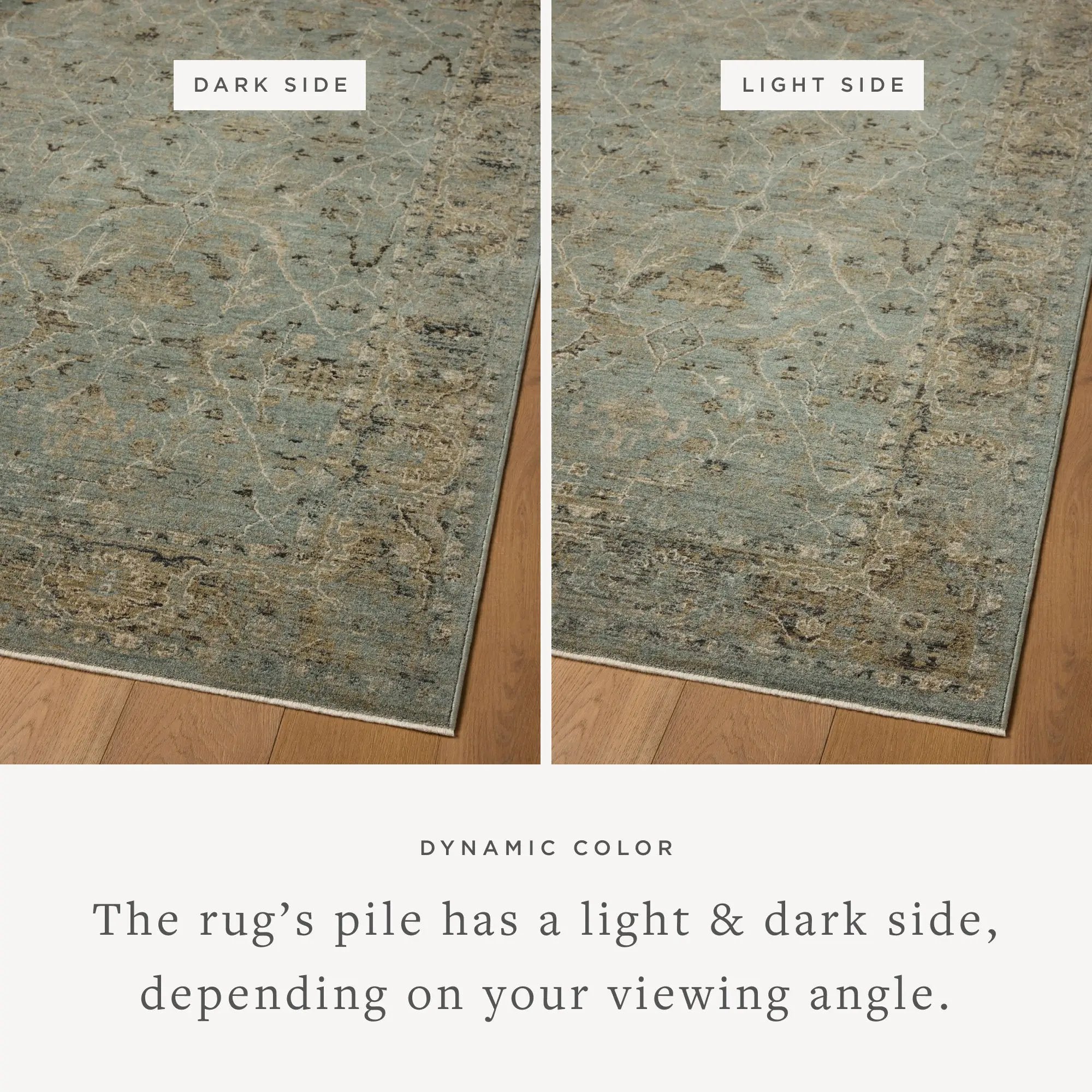 Briar BRR-02 Aqua / Olive Area Rug by Loloi