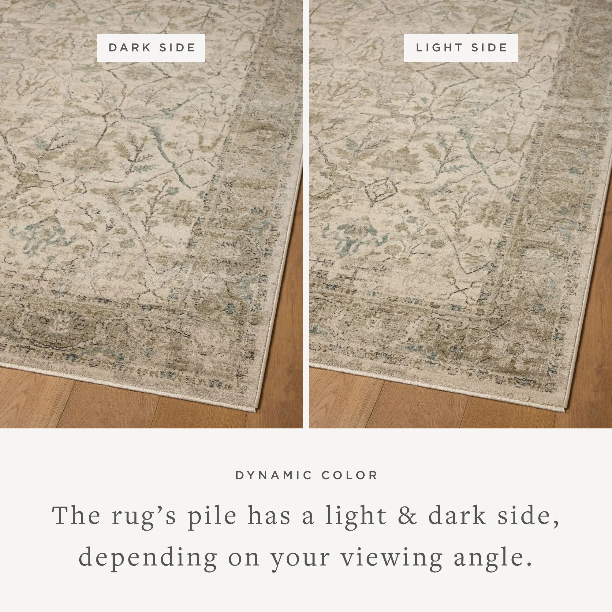 Briar BRR-02 Ivory / Sage Area Rug by Loloi