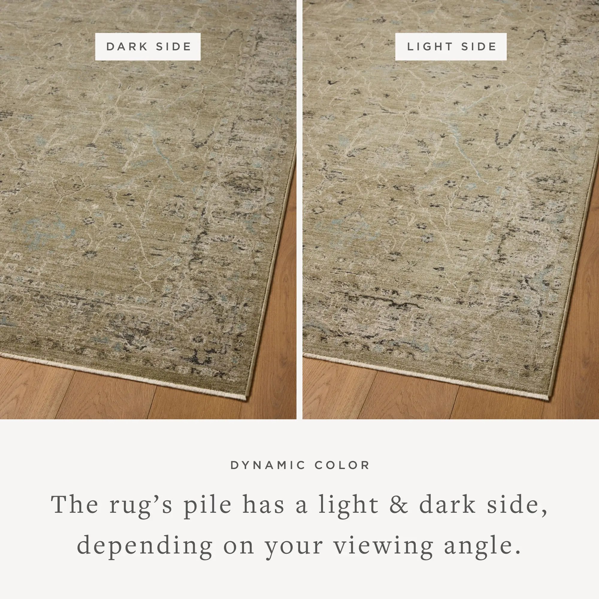 Briar BRR-02 Olive / Stone Area Rug by Loloi