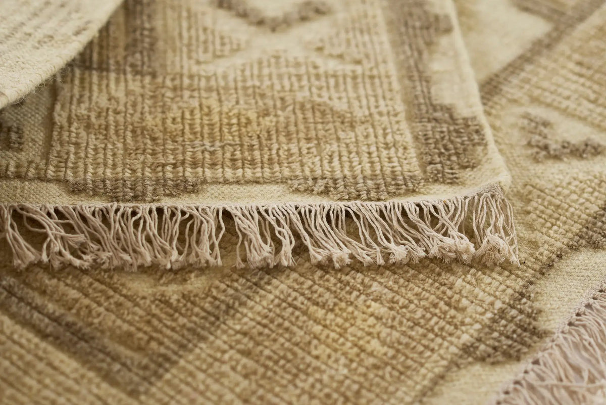 Bristol BRS-5 Natural Area Rug by Momeni