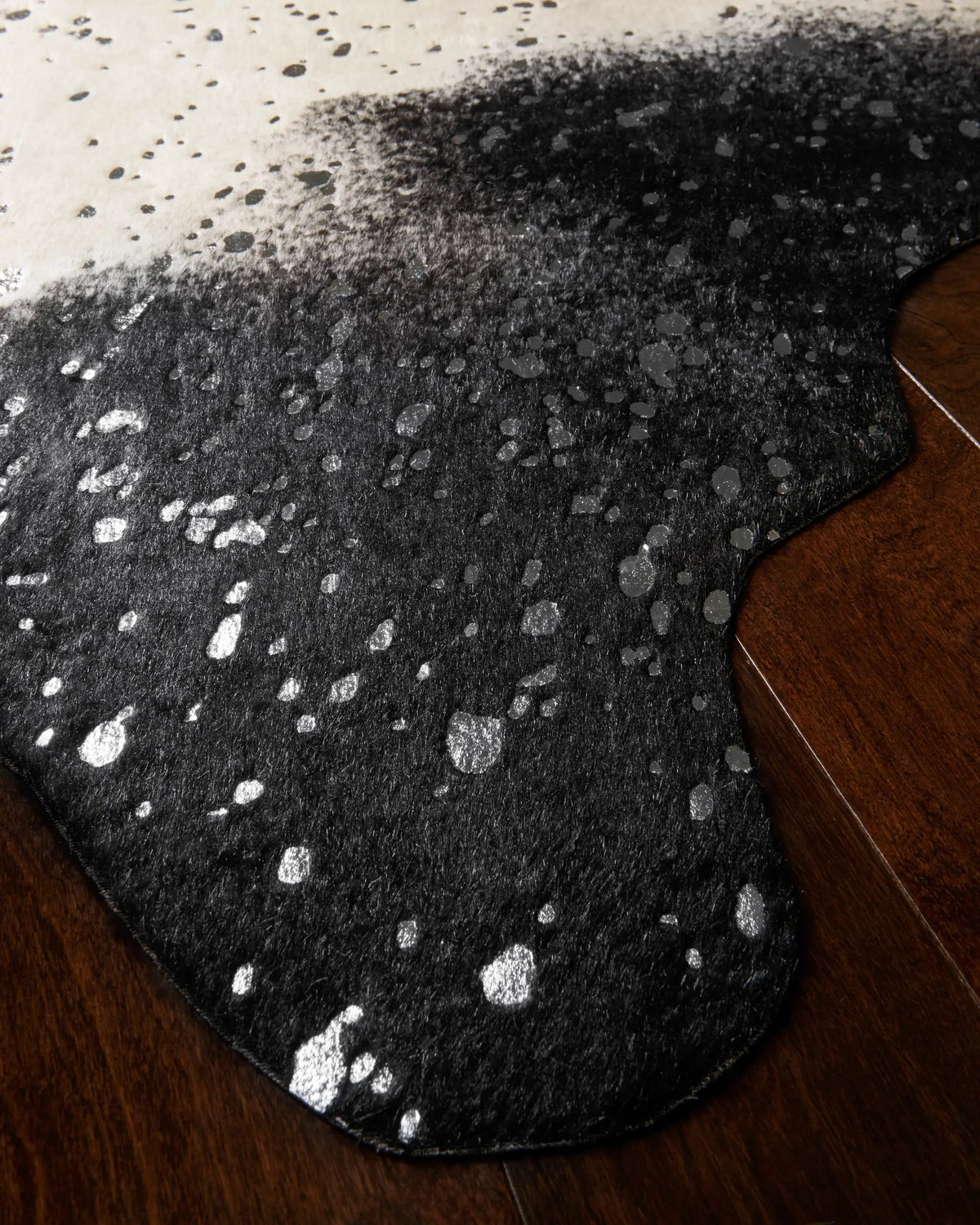 Bryce BZ-01 Black / Silver Area Rug by Loloi