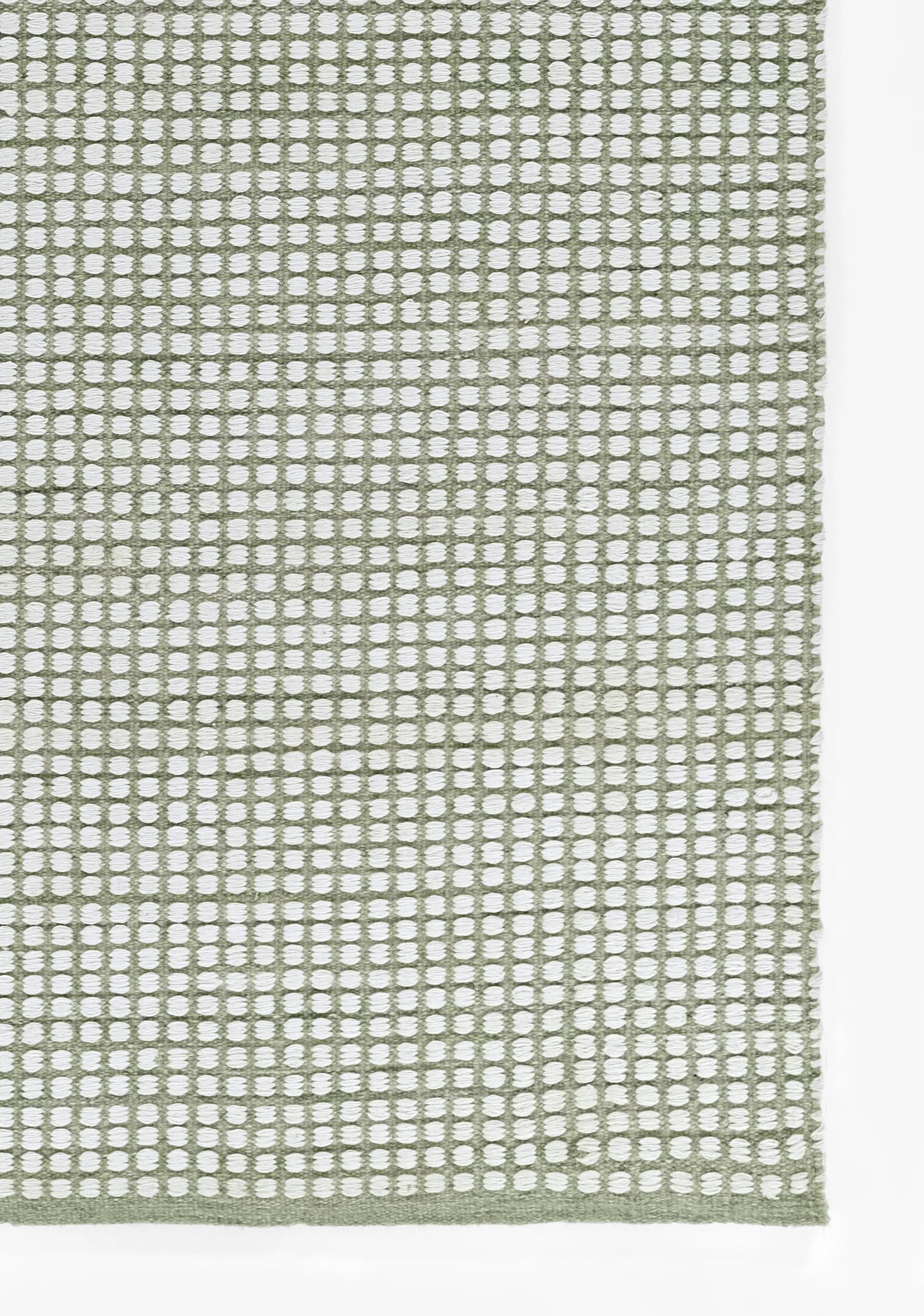 Caicos CAI-1 Green Area Rug by Momeni