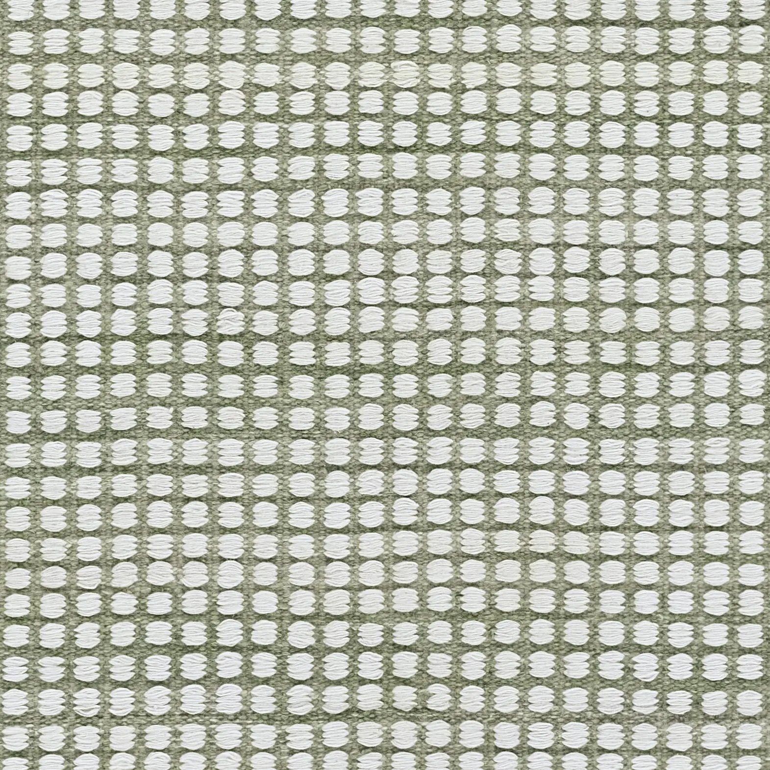 Caicos CAI-1 Green Area Rug by Momeni