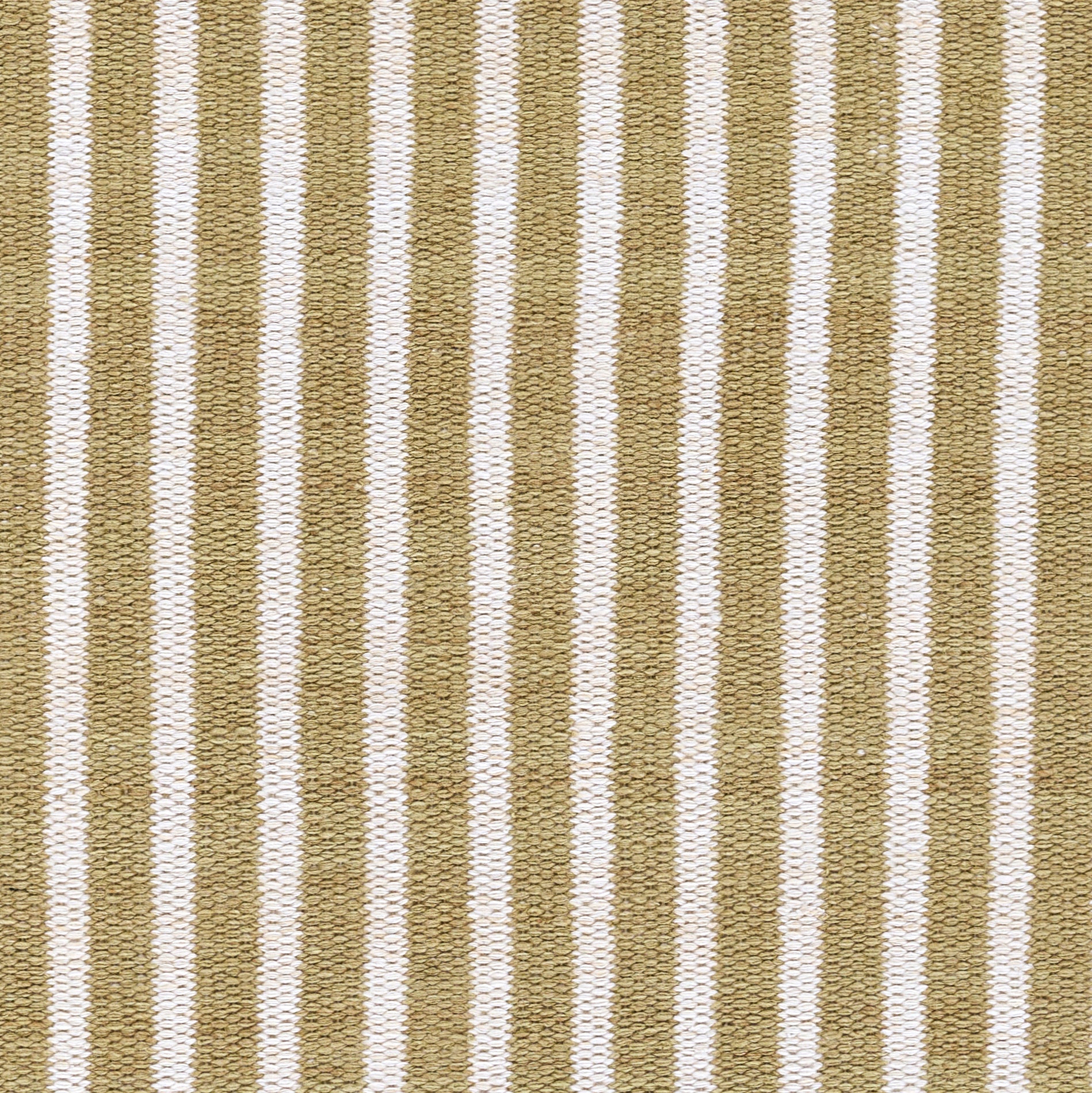 Caicos CAI-4 Green Area Rug, nature-inspired sustainable PET flatwoven rug