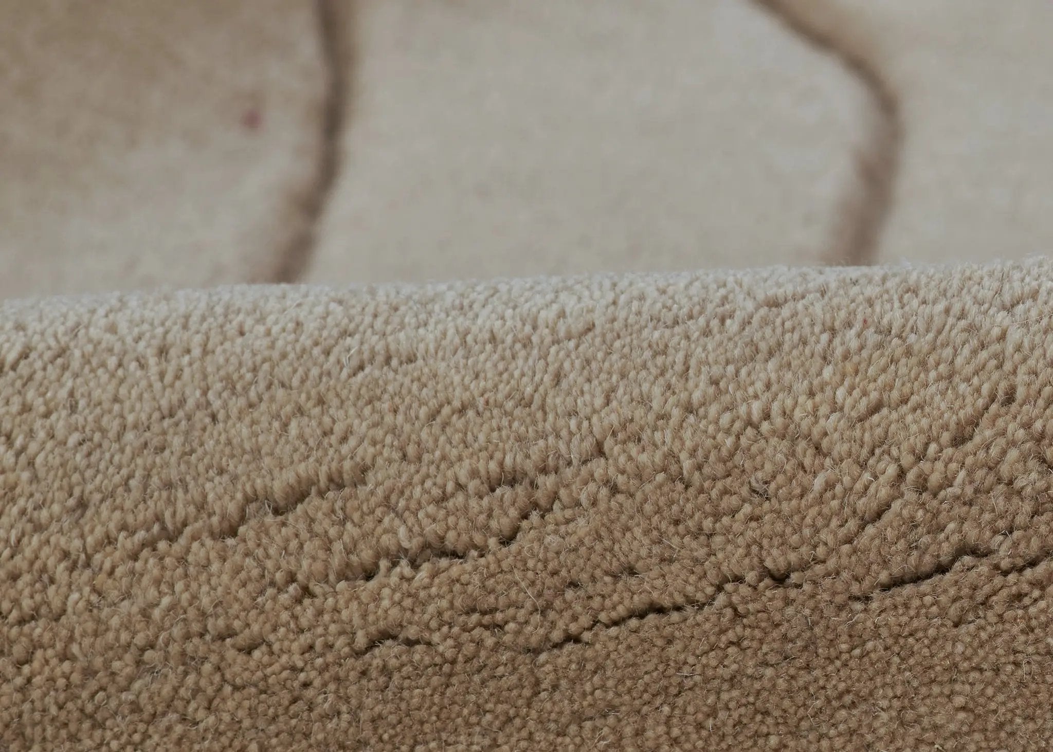 Canyon CYN-1 Neutral Area Rug by Momeni