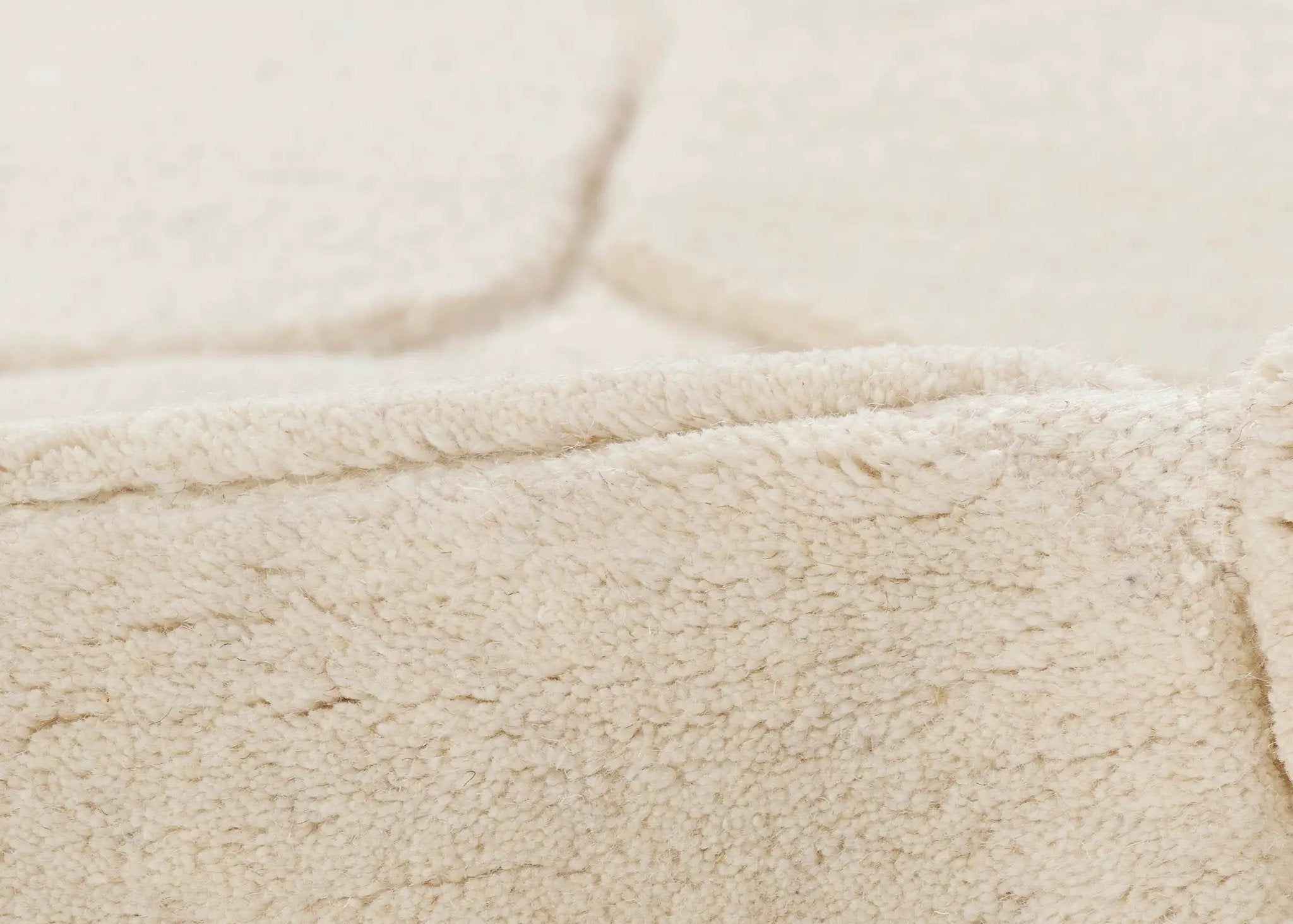 Canyon CYN-2 Ivory Area Rug by Momeni