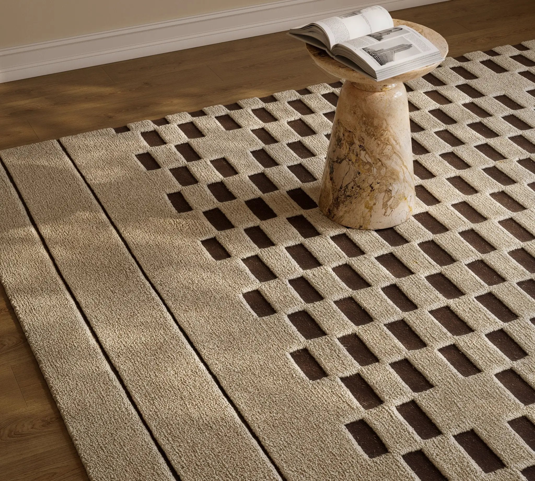 Canyon CYN-3 Brown Area Rug by Momeni