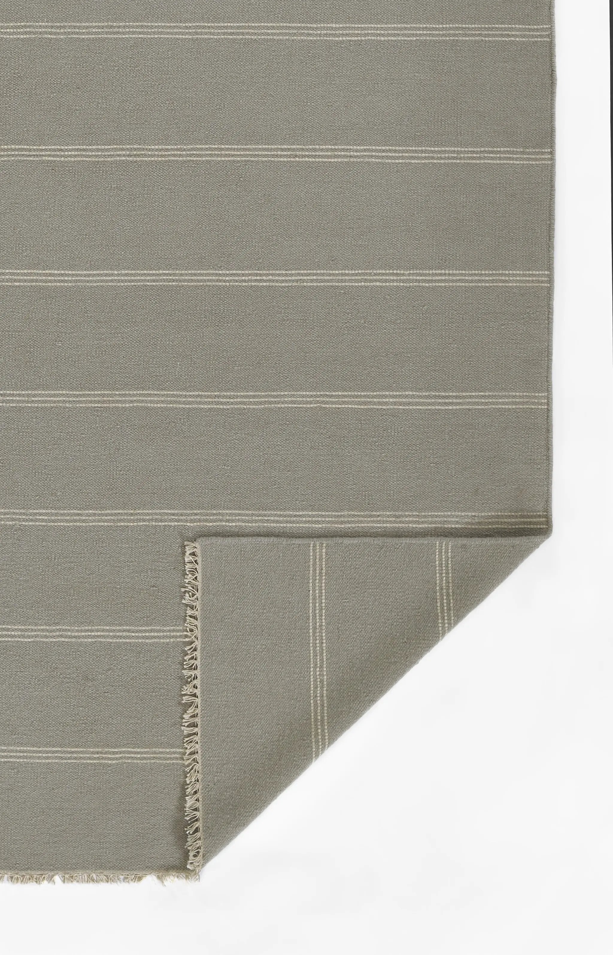 Caseres CES-1 (Stripe) Light-Blue Area Rug by Pure Salt by Momeni