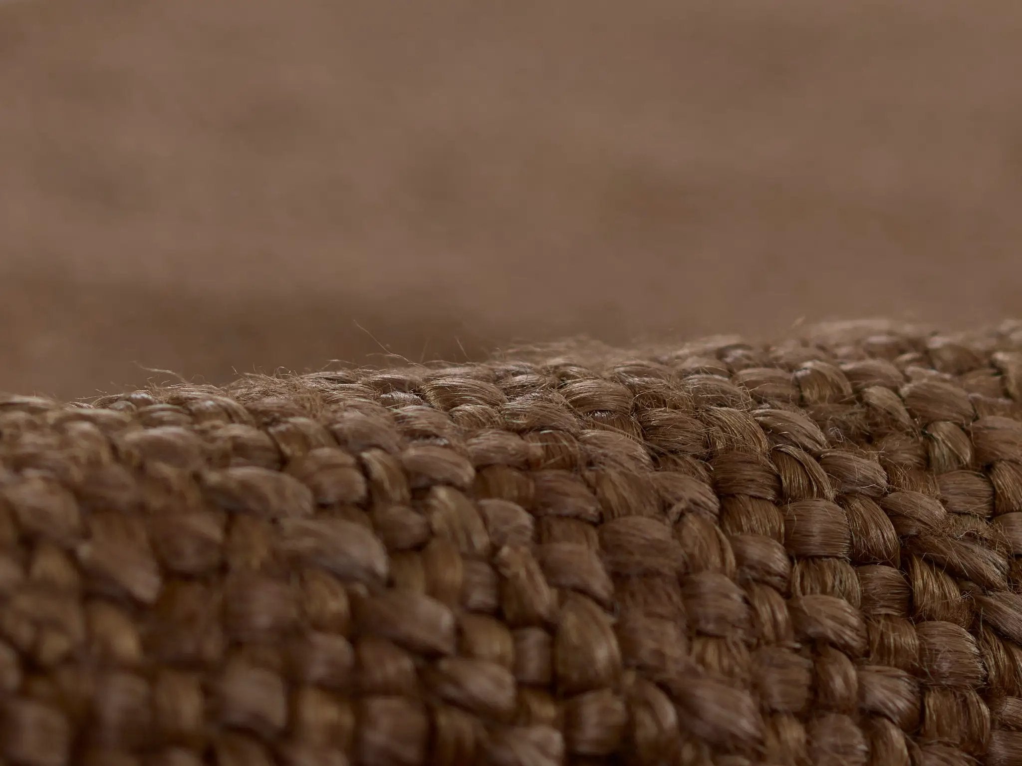 Cassis CIS-1 (Braid) Walnut Area Rug by Pure Salt by Momeni