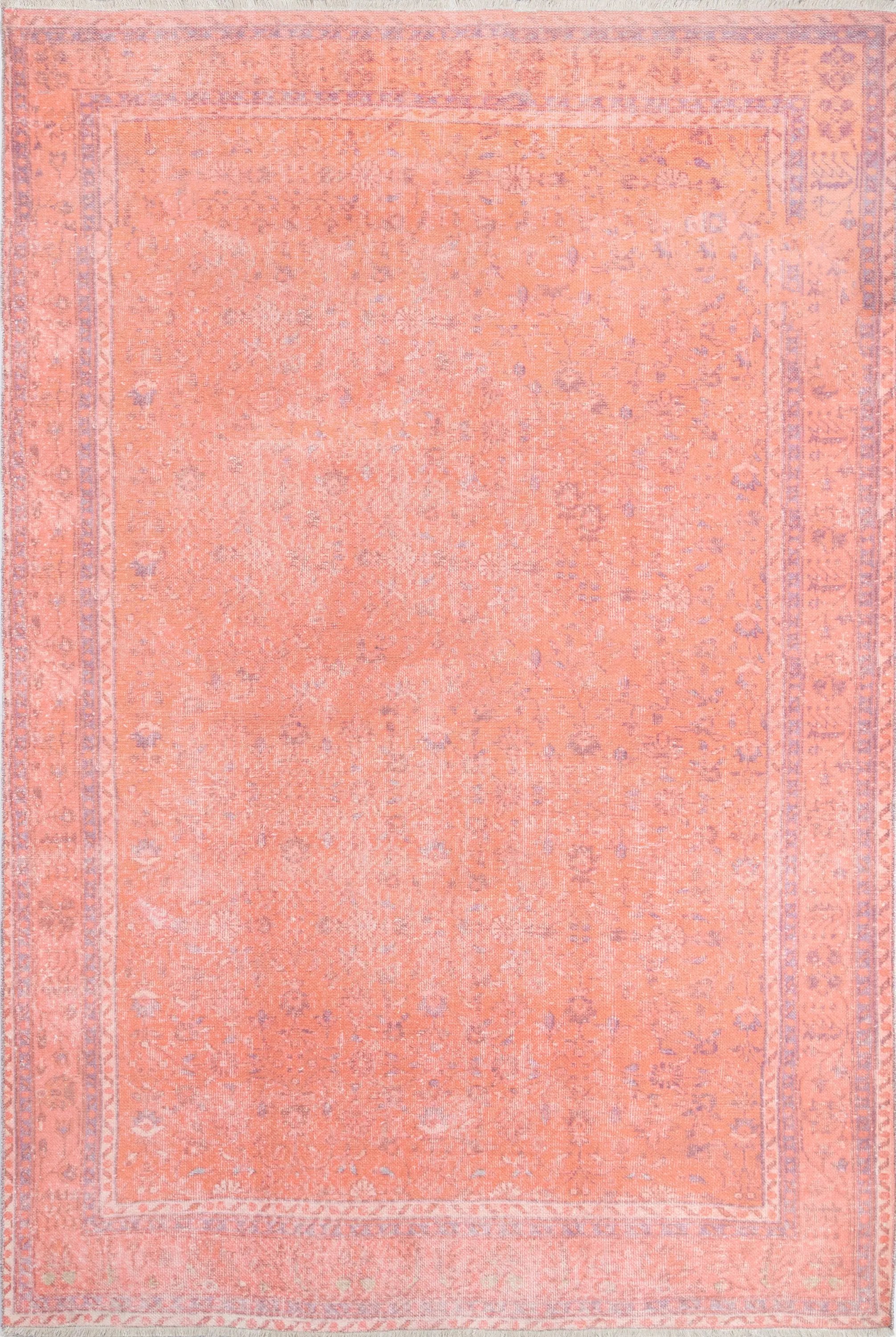 Chandler CHN-2 Coral Area Rug by Momeni