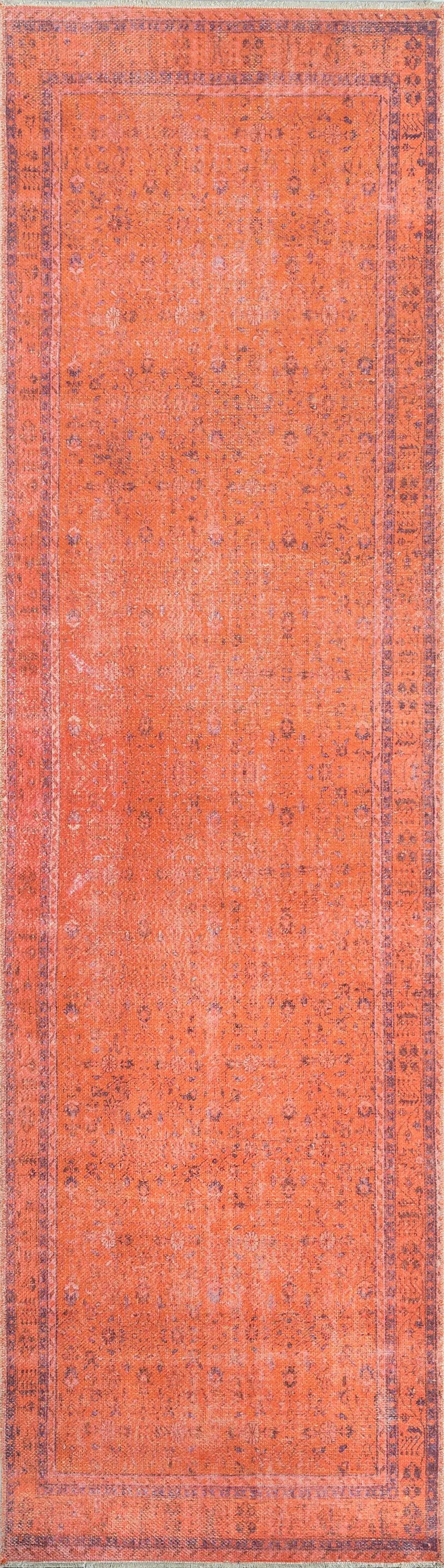 Chandler CHN-2 Coral Area Rug by Momeni