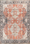 Momeni Chandler CHN-7 Rust Area Rug