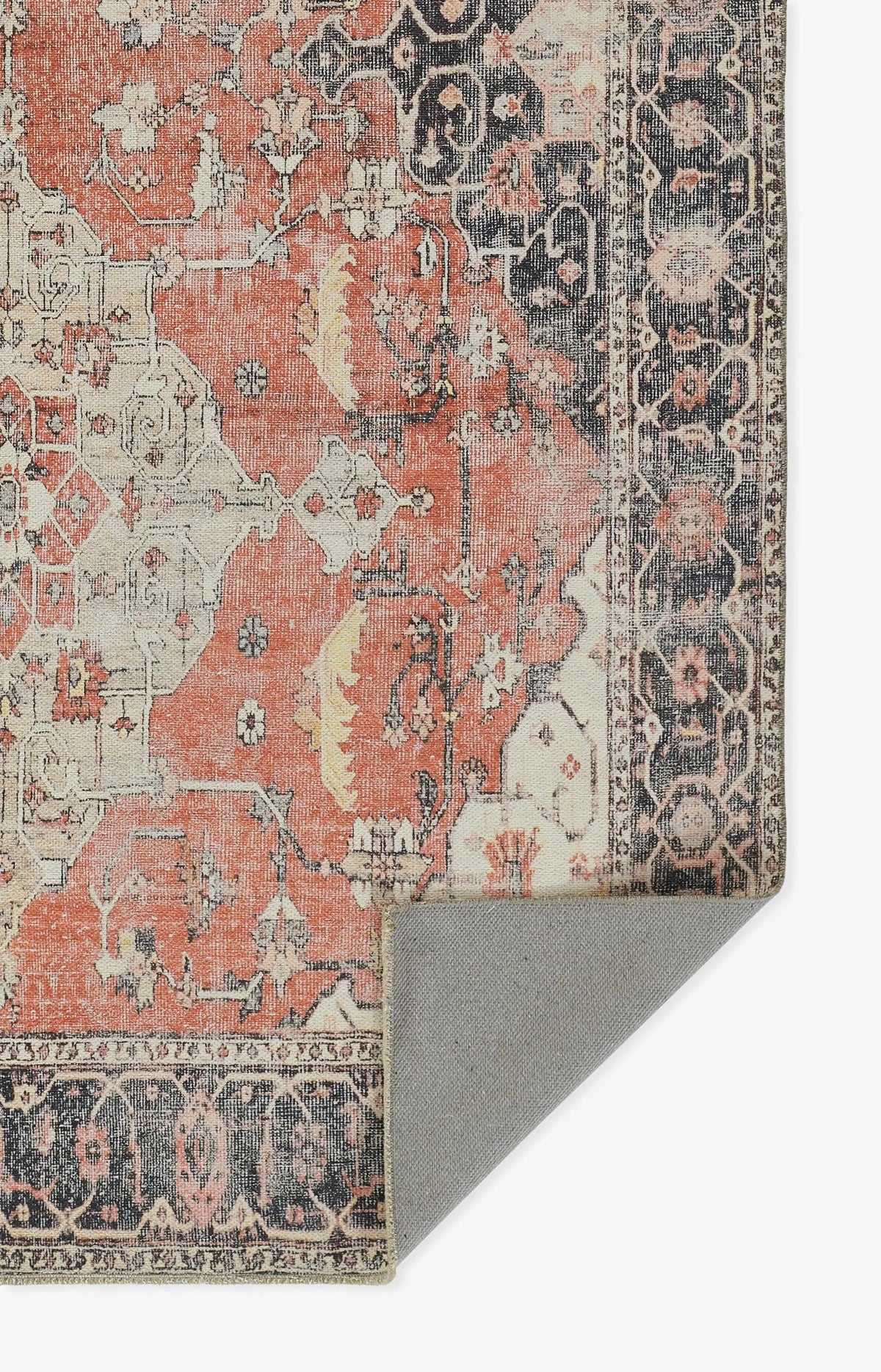 Chandler CHN-7 Rust Area Rug by Momeni
