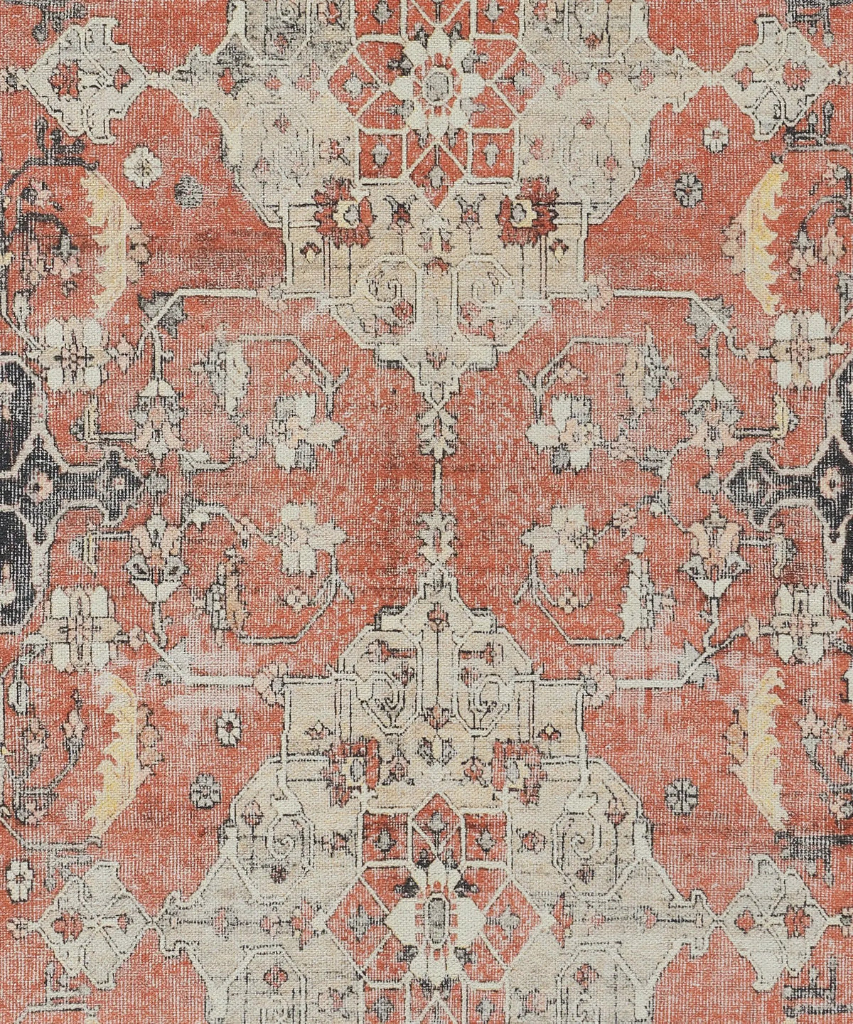Chandler CHN-7 Rust Area Rug by Momeni