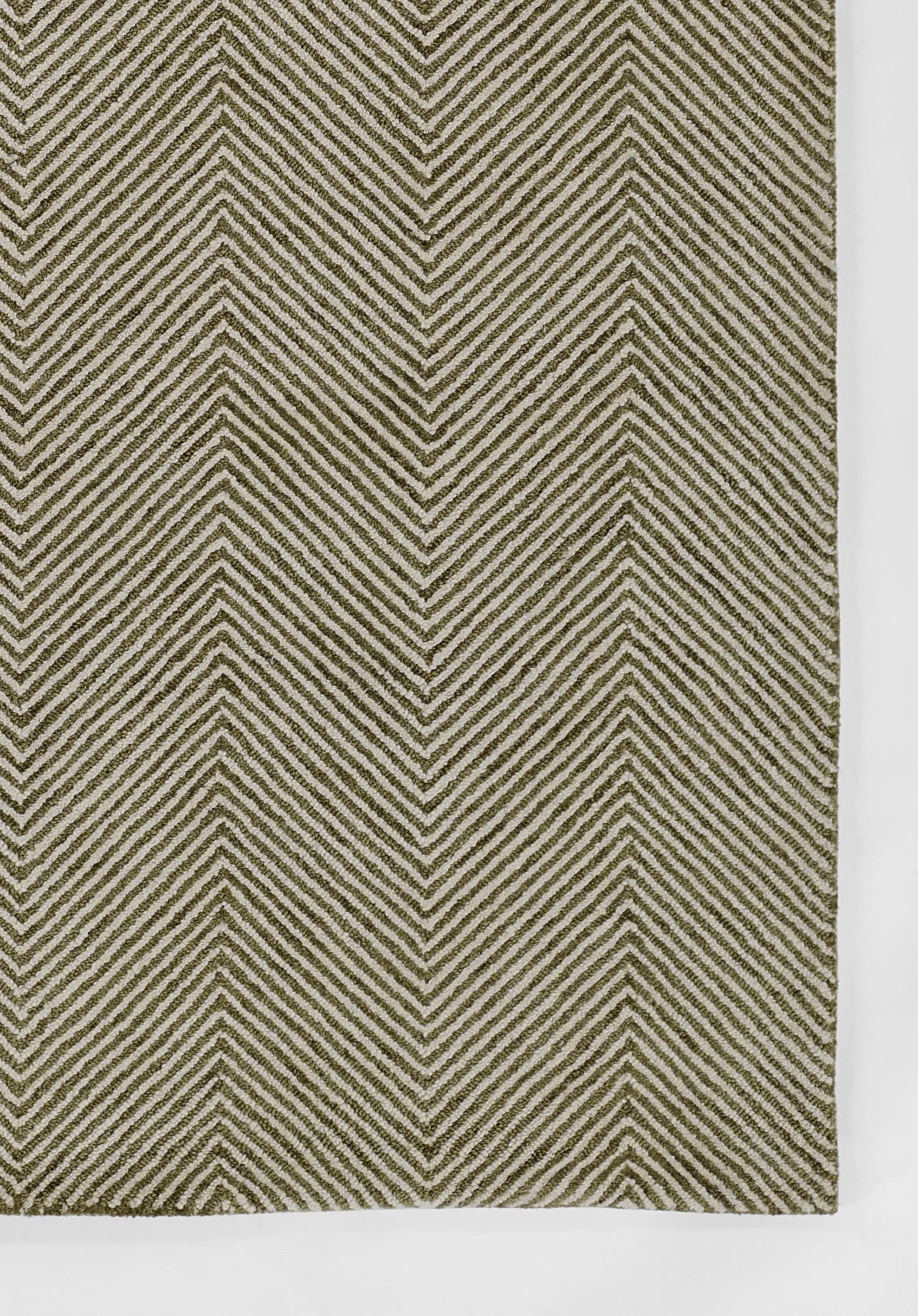 Charles CHR-1 Green Area Rug by Momeni