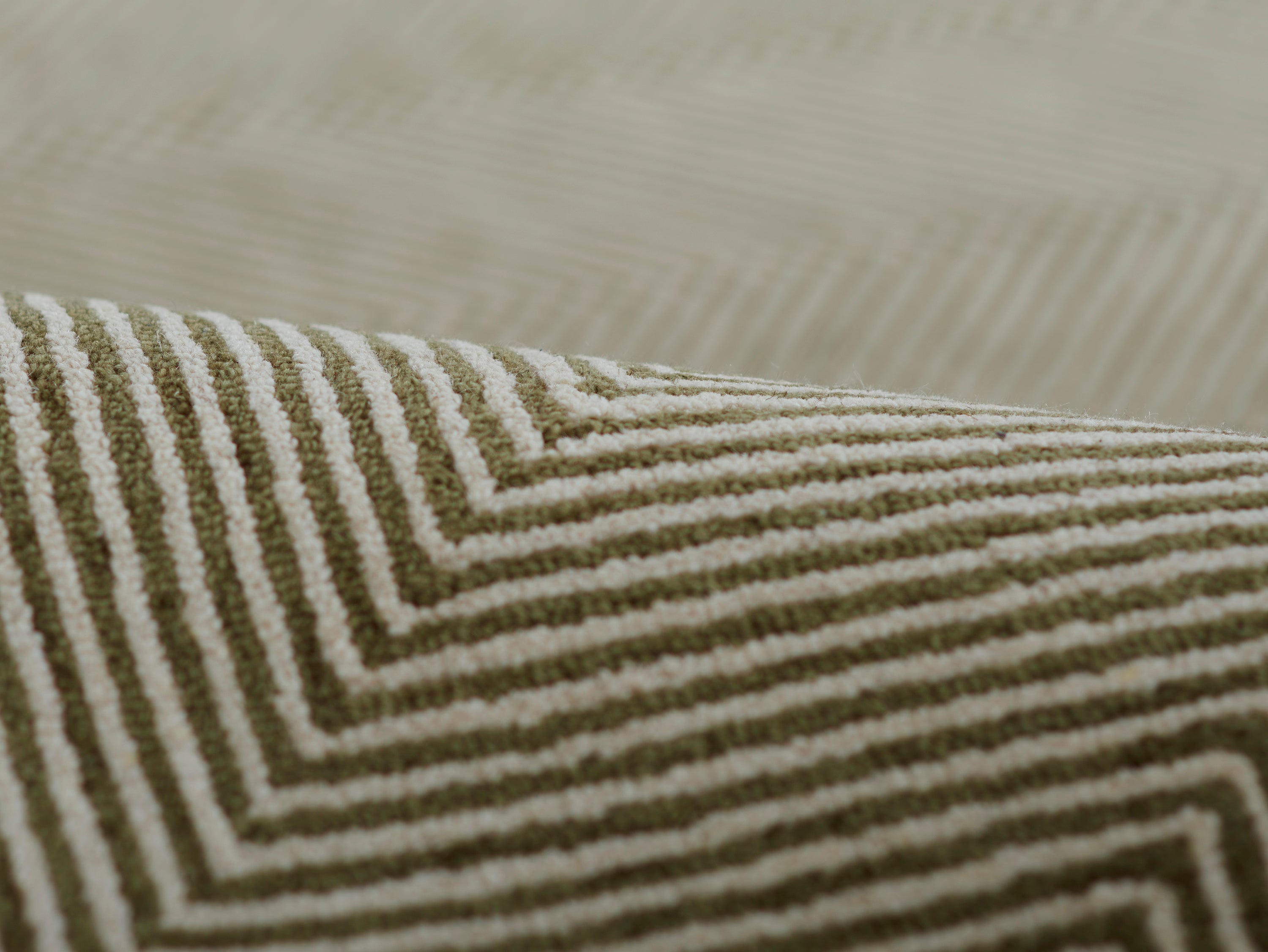 Momeni Charles CHR-1 Green Hand Tufted Area Rug