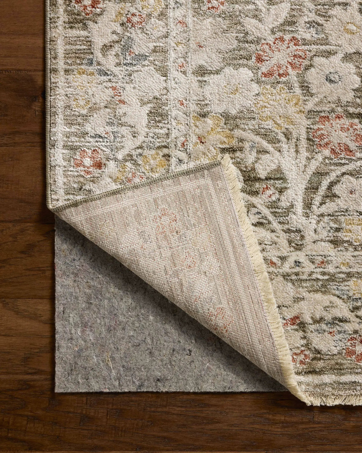 Clarisse CLS-05 Olive / Multi Area Rug by Loloi