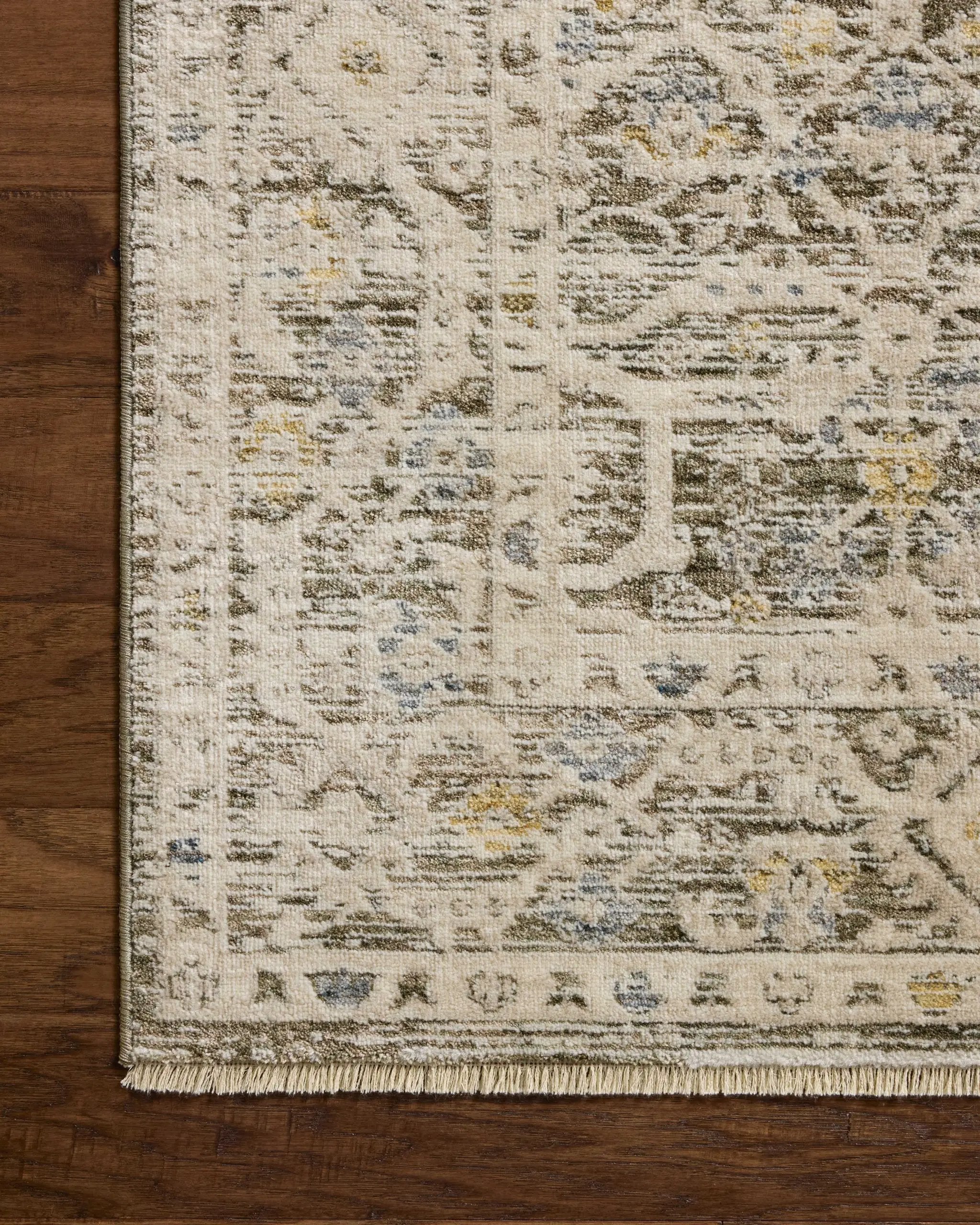 Clarisse CLS-08 Olive / Ivory Area Rug by Loloi
