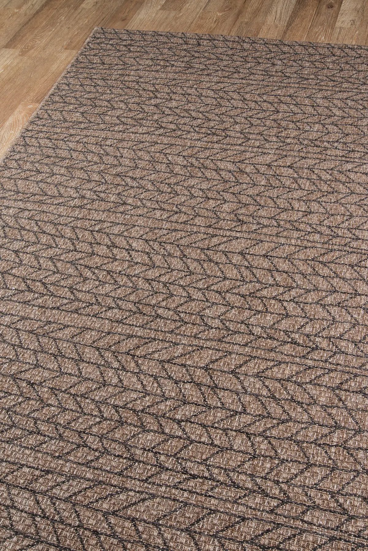 Como COM-2 Tan Area Rug by Momeni