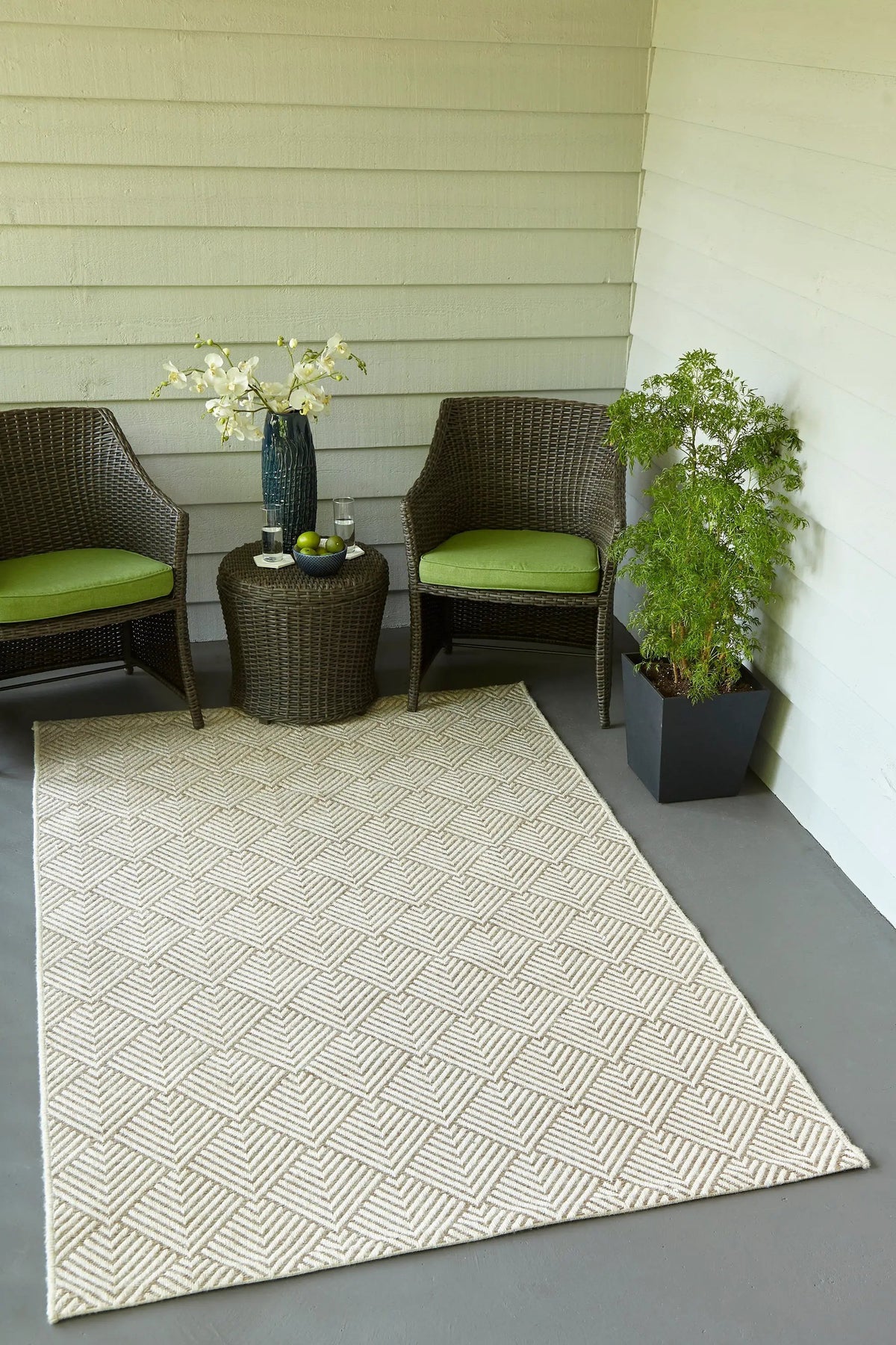 Como COM-3 Beige Area Rug by Momeni