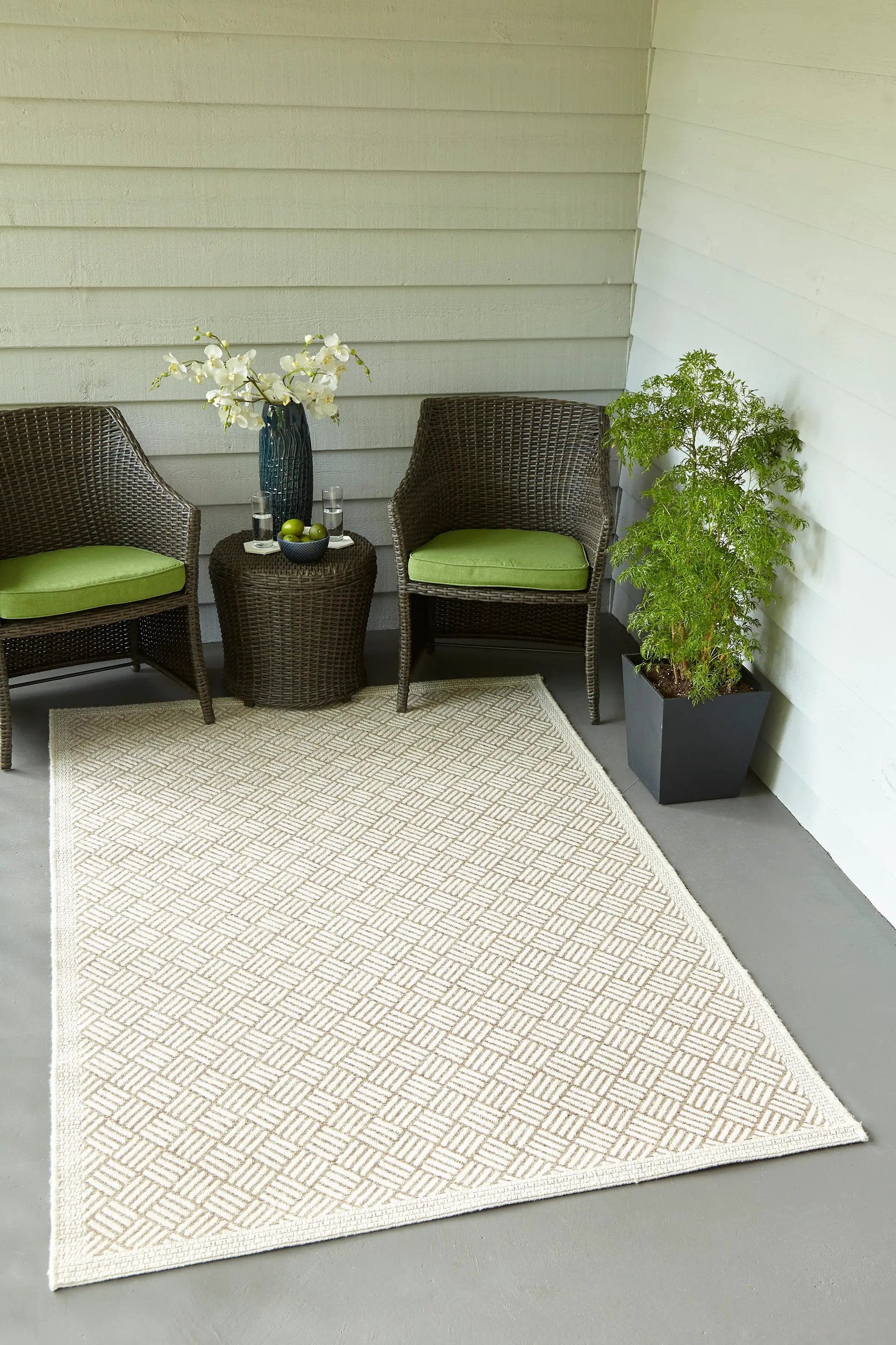 Como COM-4 Tan Area Rug by Momeni