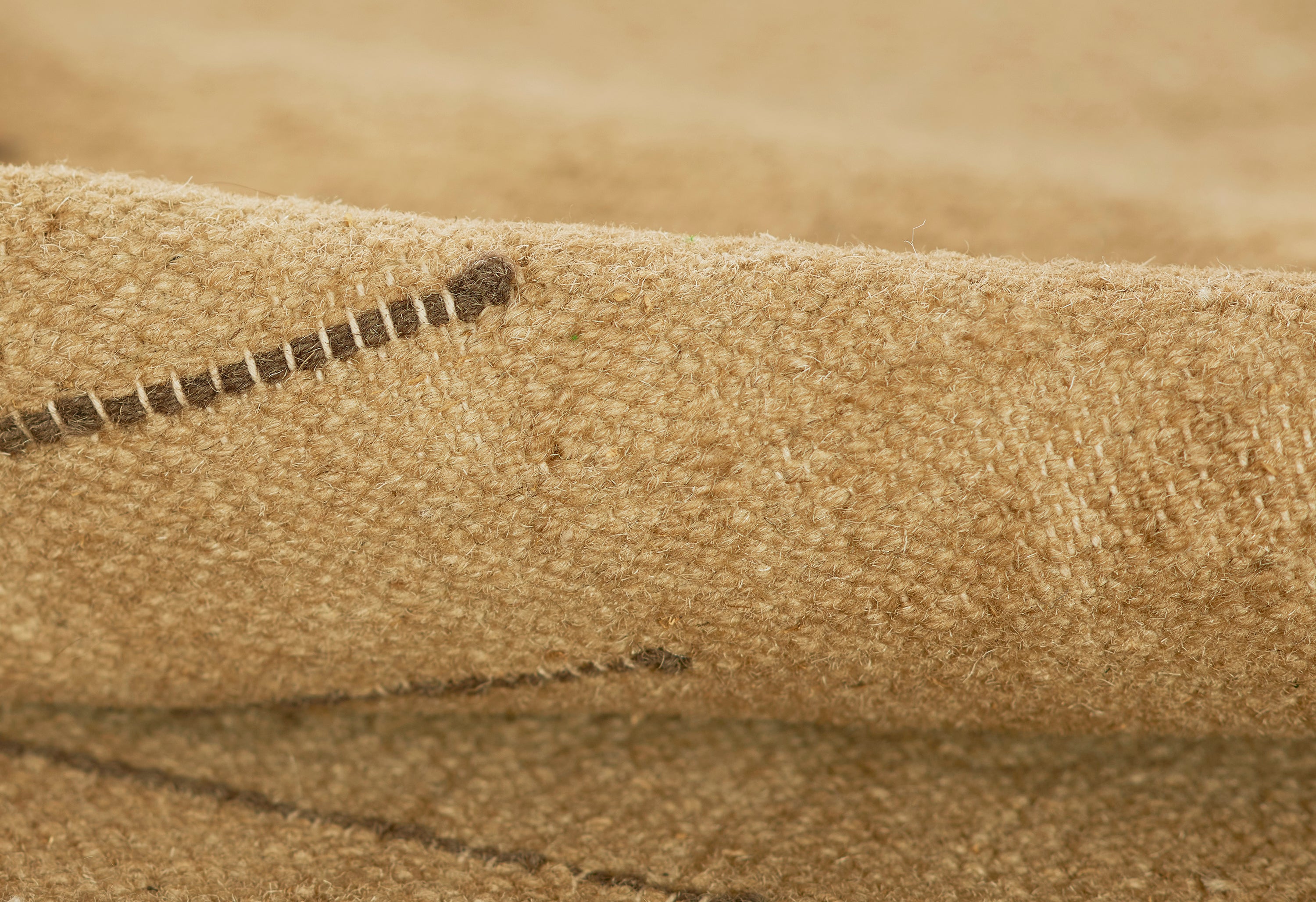 Pure Salt Corfu COF-1 Beige Area Rug by Momeni