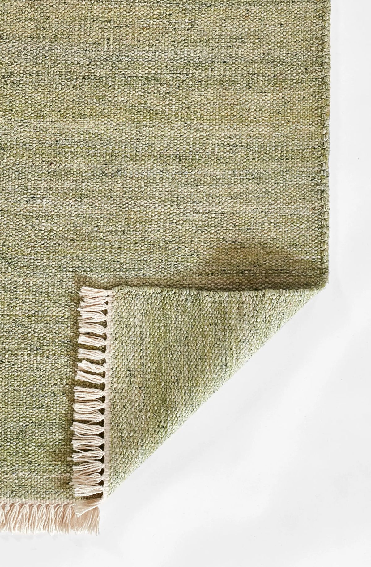 Cove CV-01 Green Area Rug by Momeni