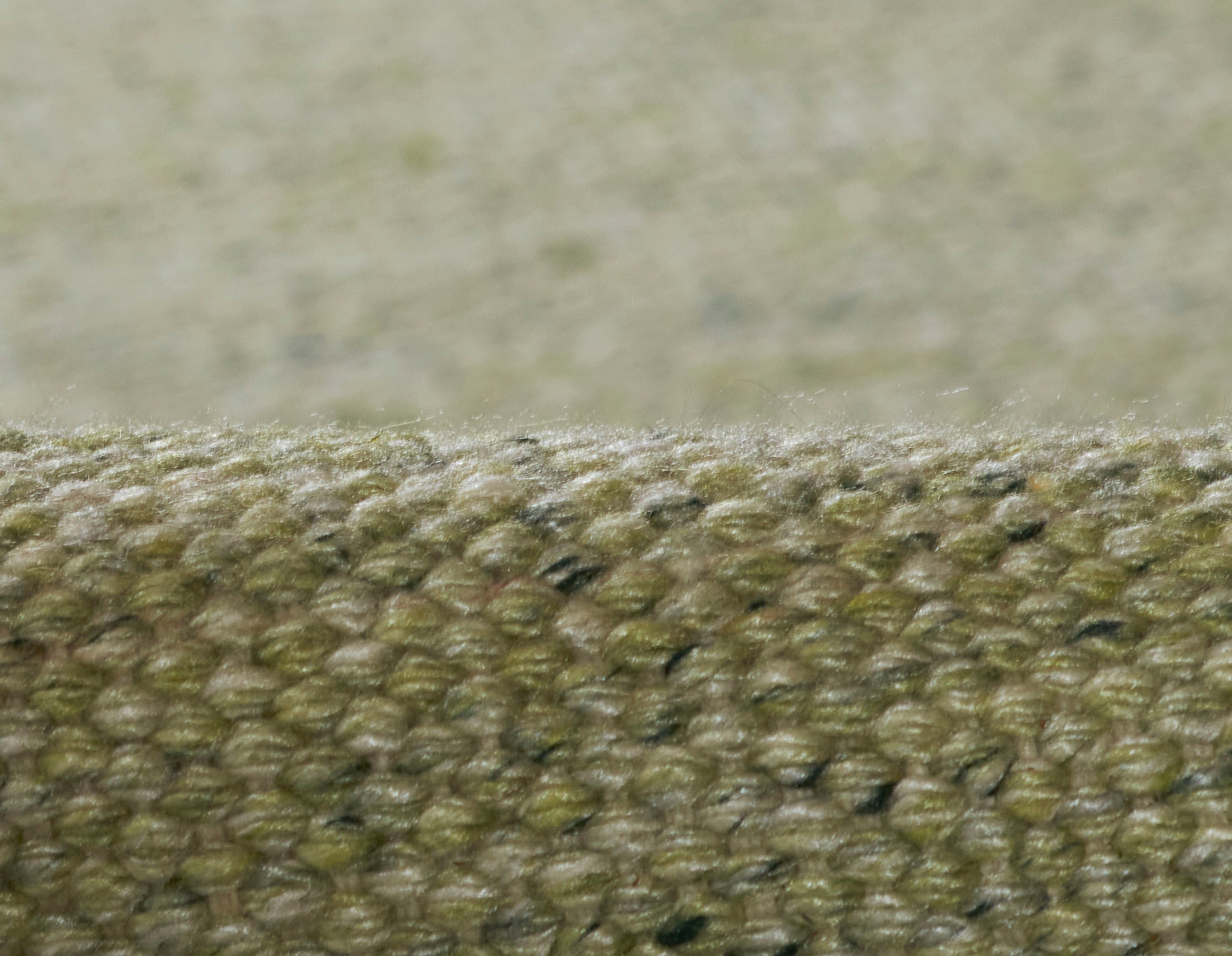 Momeni Cove CV-01 Green Hand Woven Area Rug