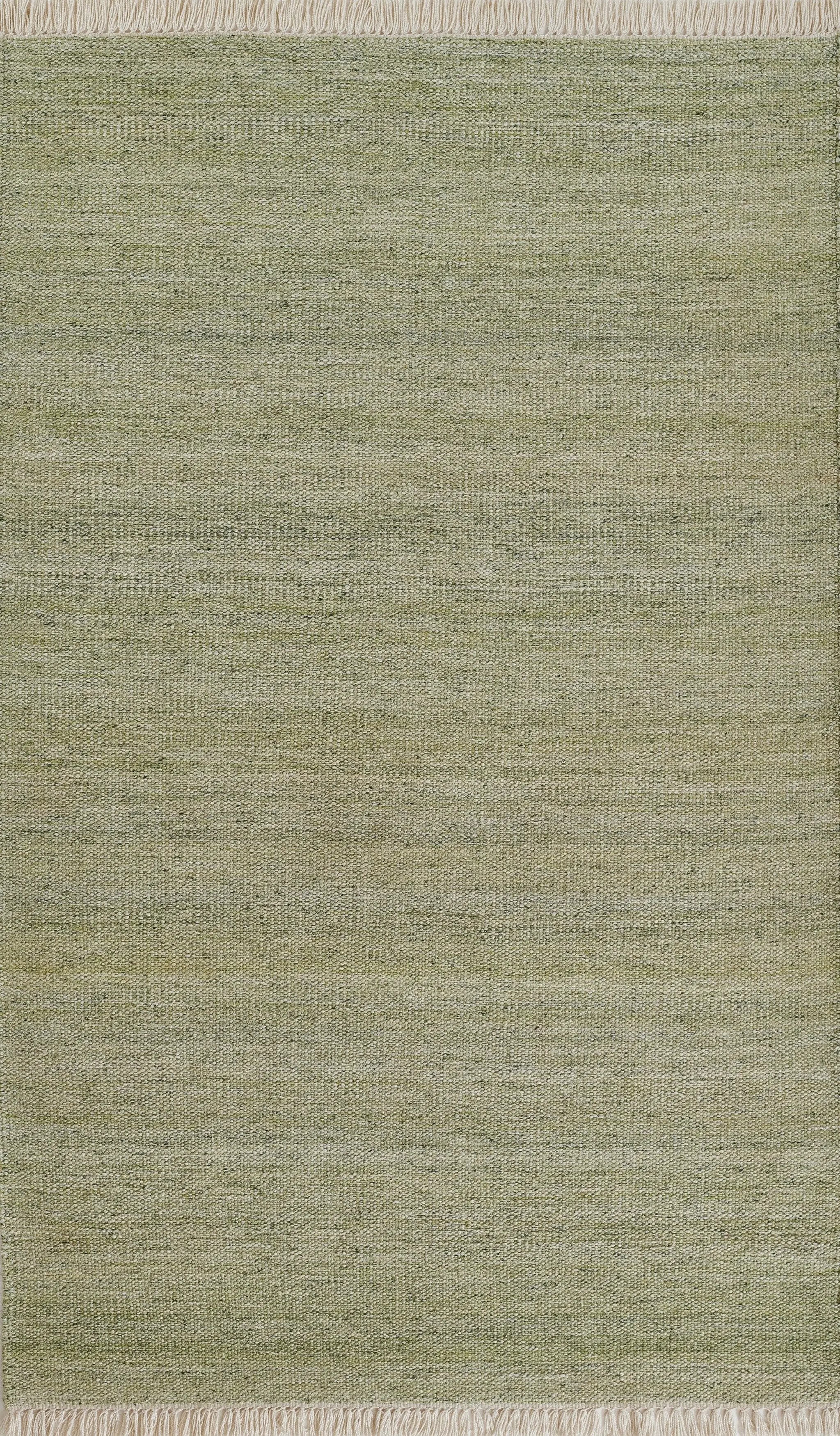 Cove CV-01 Green Area Rug by Momeni