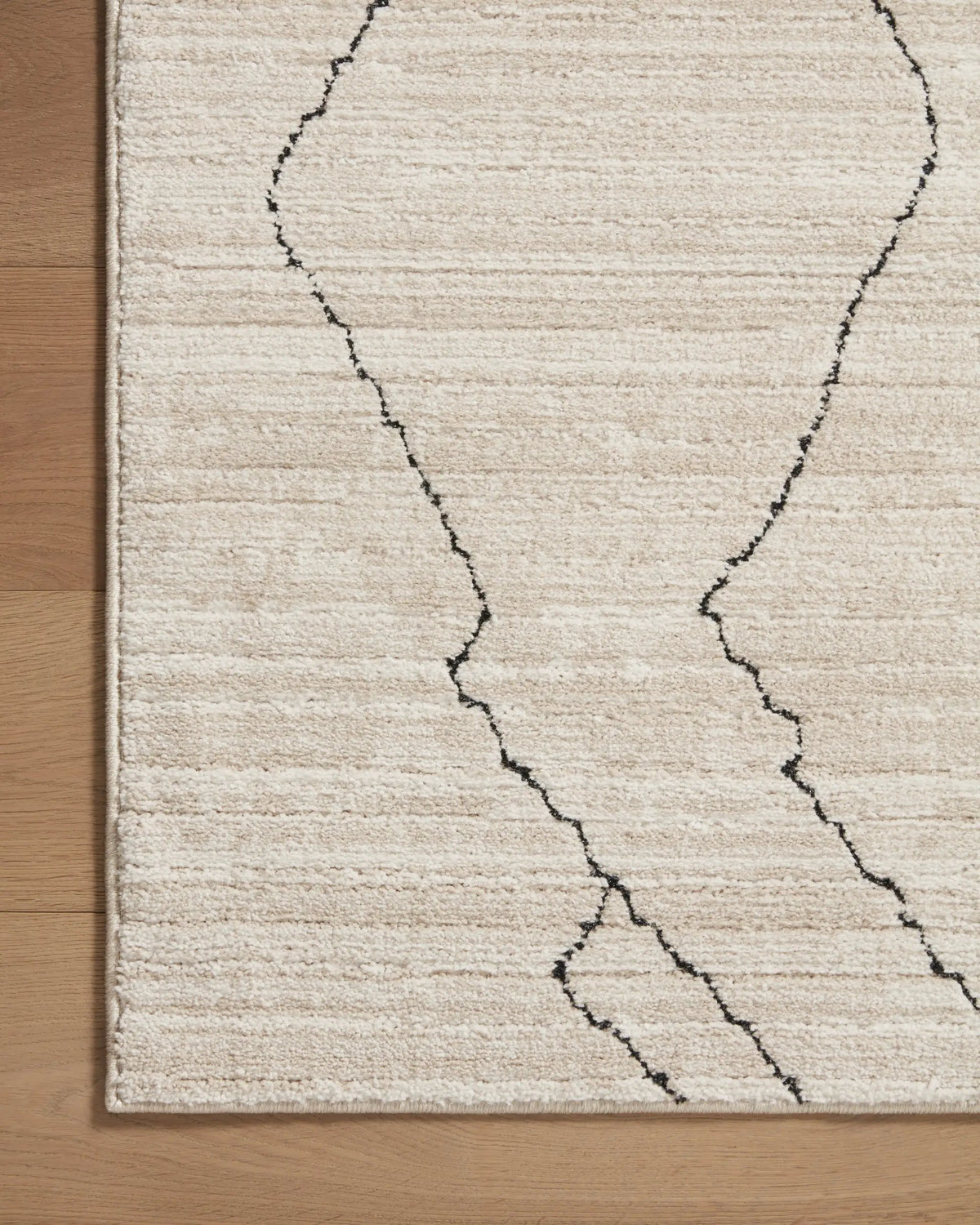 Darby DAR-03 Sand / Charcoal Area Rug by Loloi